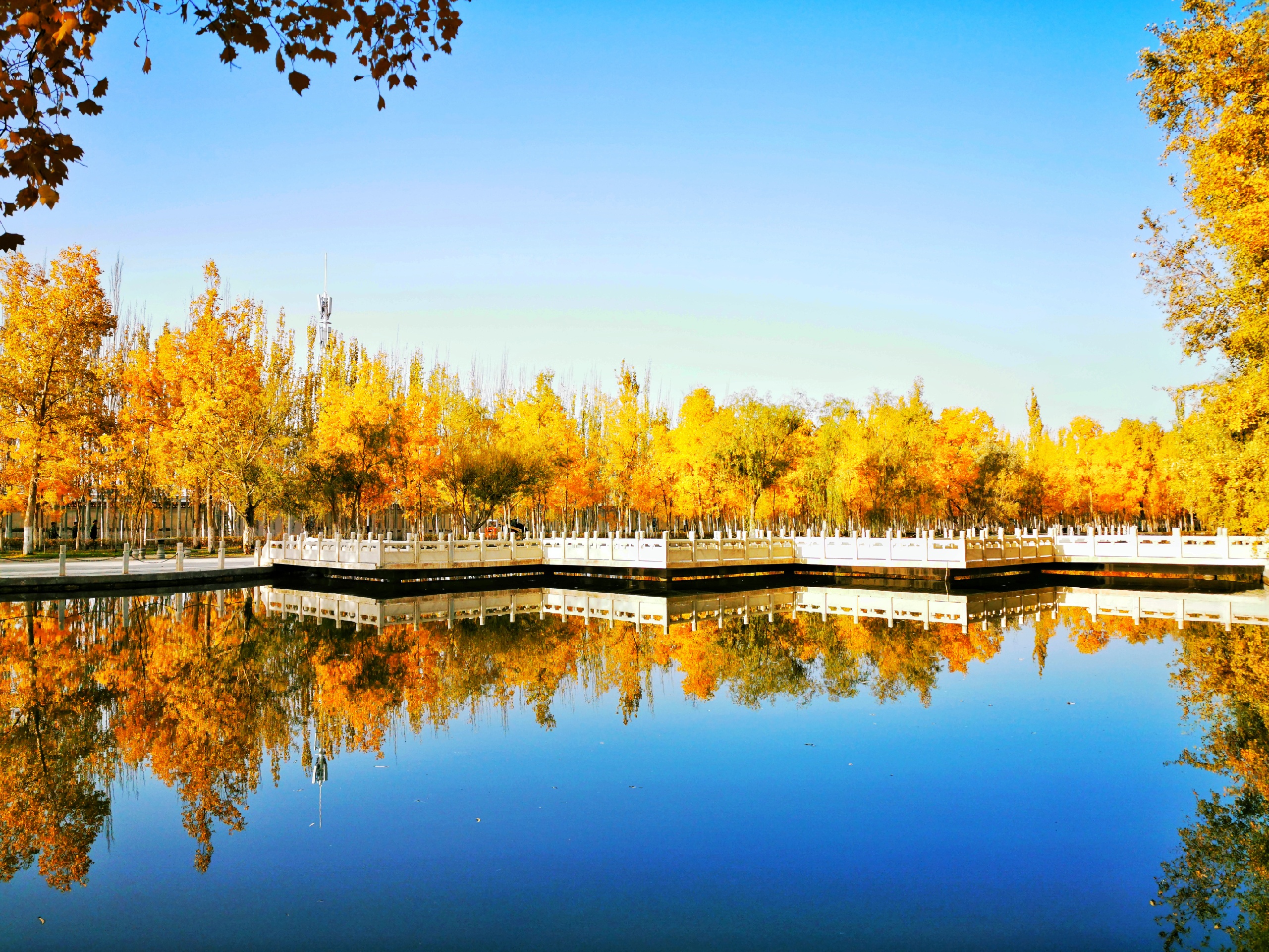 库尔勒市天鹅河景区-秋天的天鹅河景区图片