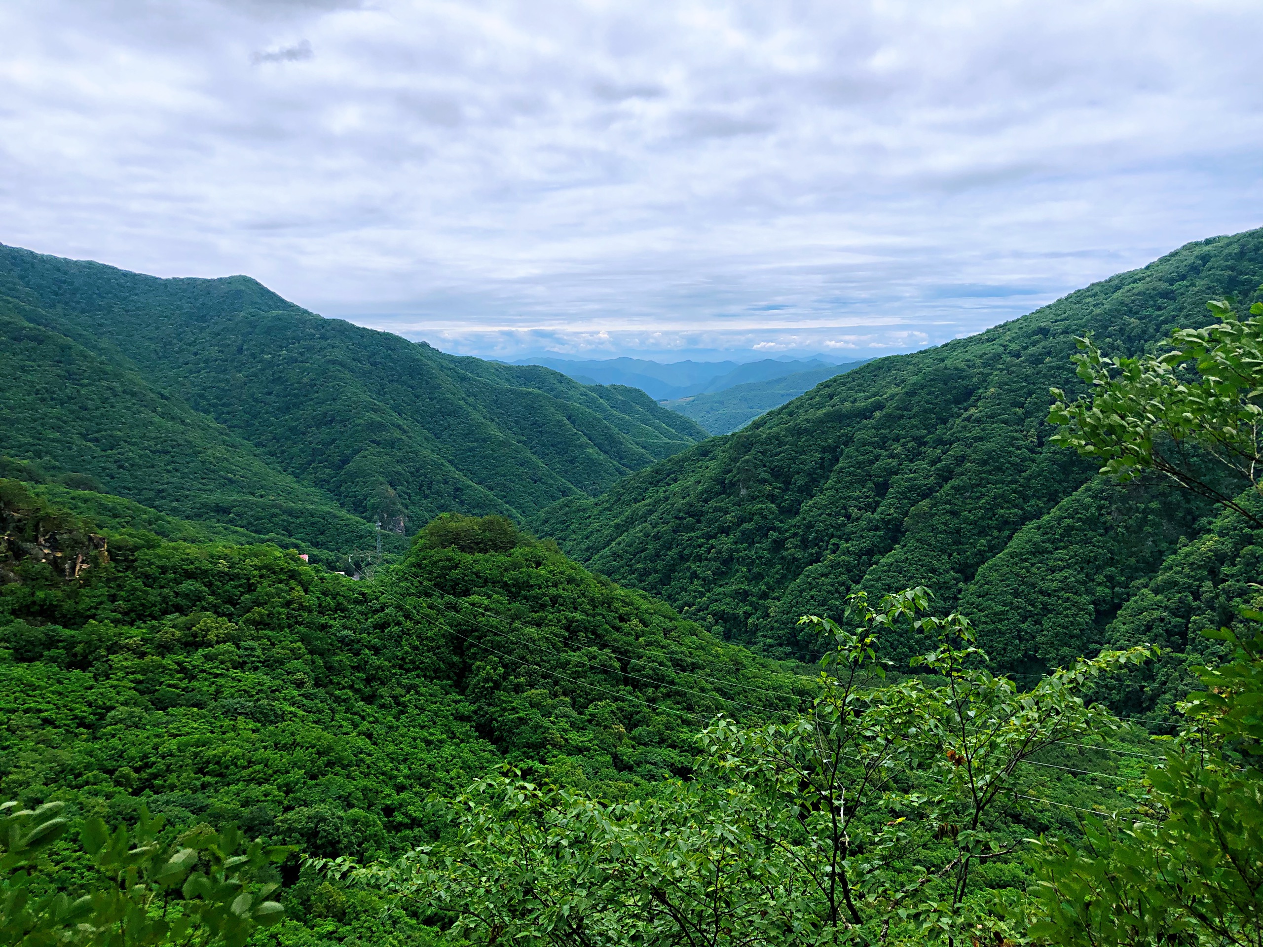 集安五女峰-2020最新吉林五女峰国家森林公园图片大全