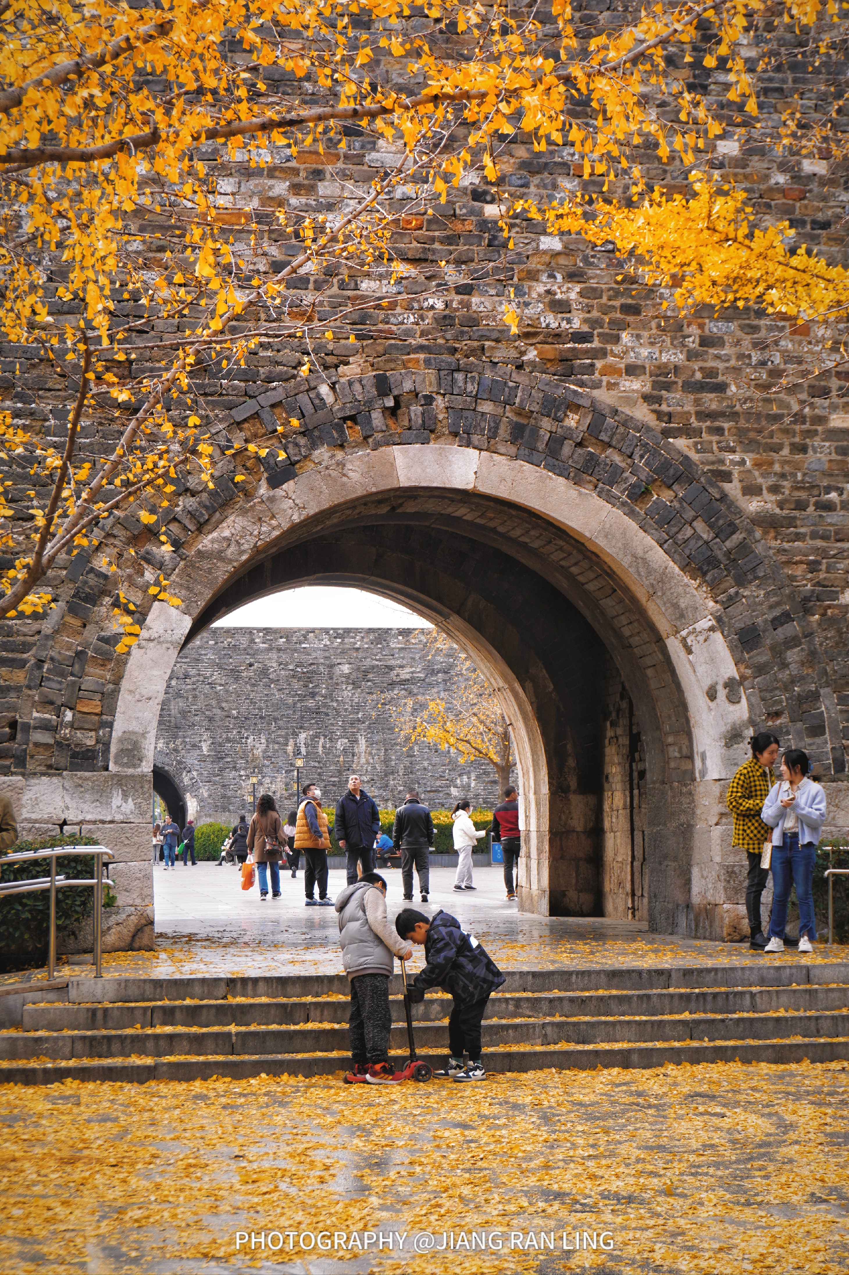 汉中门广场·南京明城墙边的一抹秋色