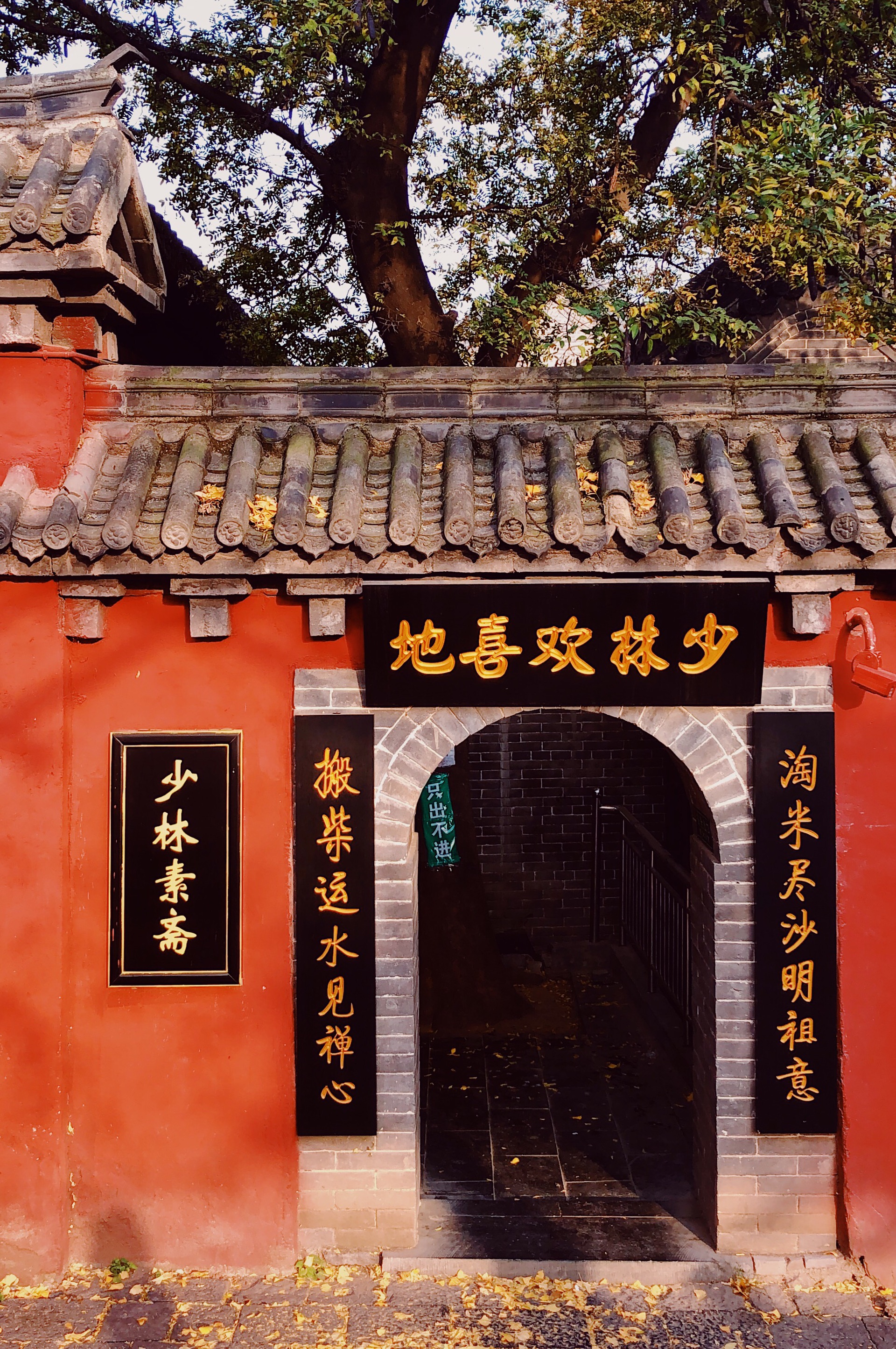 我的少林梦对作为来河南旅游的我来说，没去少林寺相当于没去河南