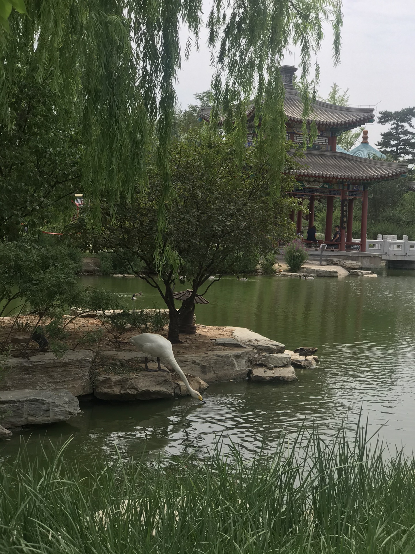 免费博物馆—中国园林博物馆