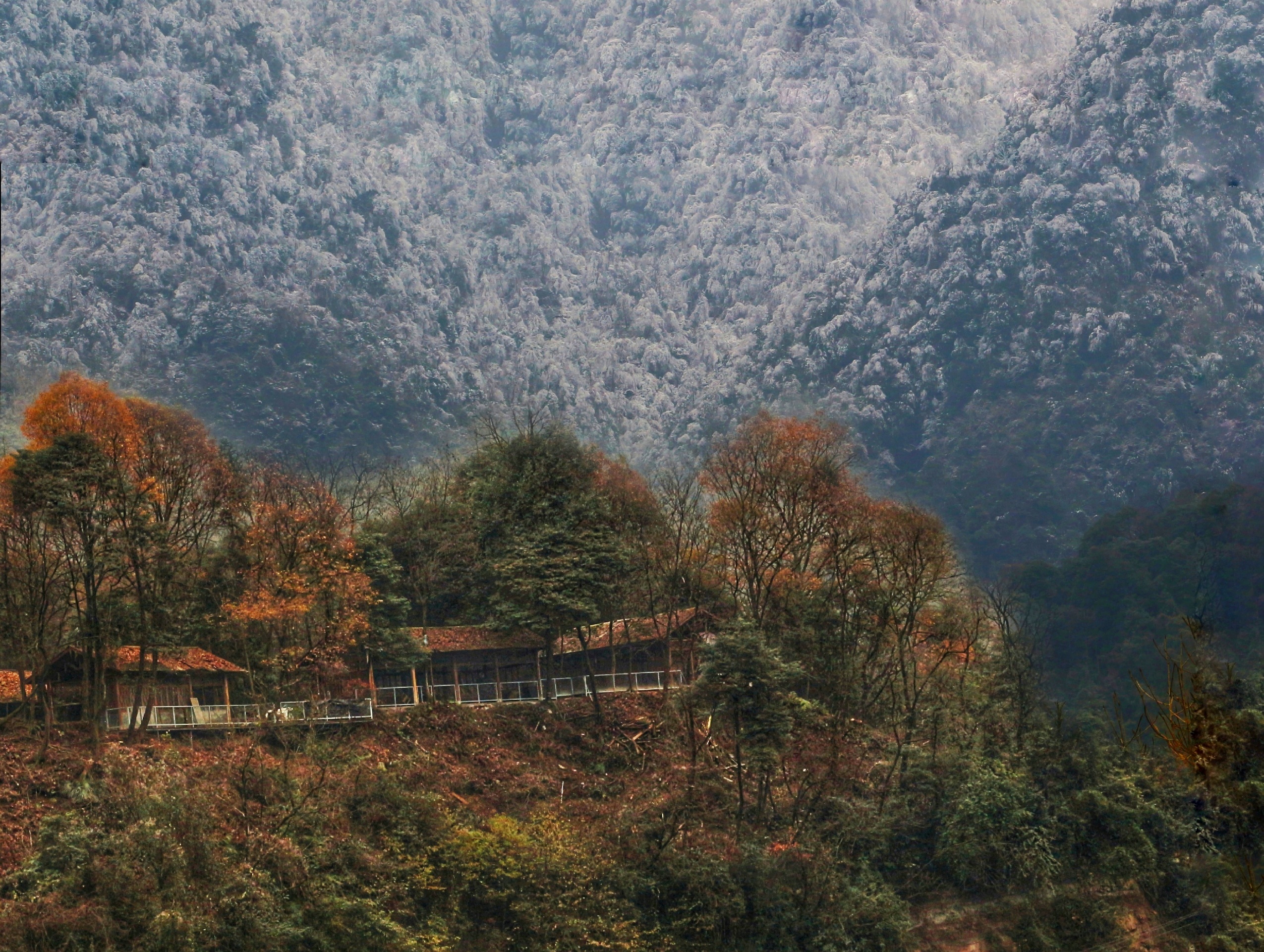 赵公山上有条康养绿道，绿道两边有不少的彩林红叶，于是匆忙赶往赵公山。