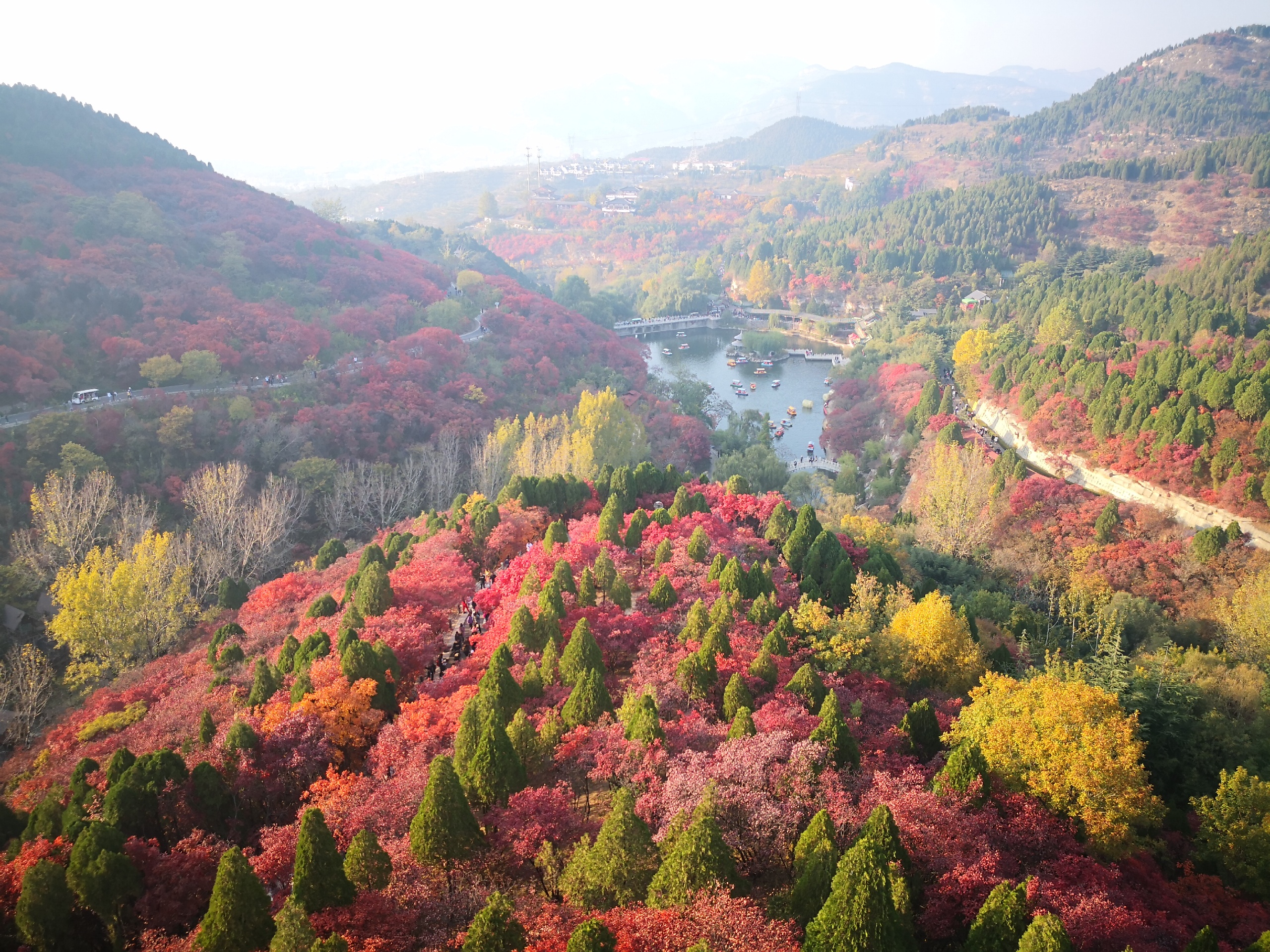 济南红叶谷每年十月底11月初的景色最美！2020打卡济南红叶谷