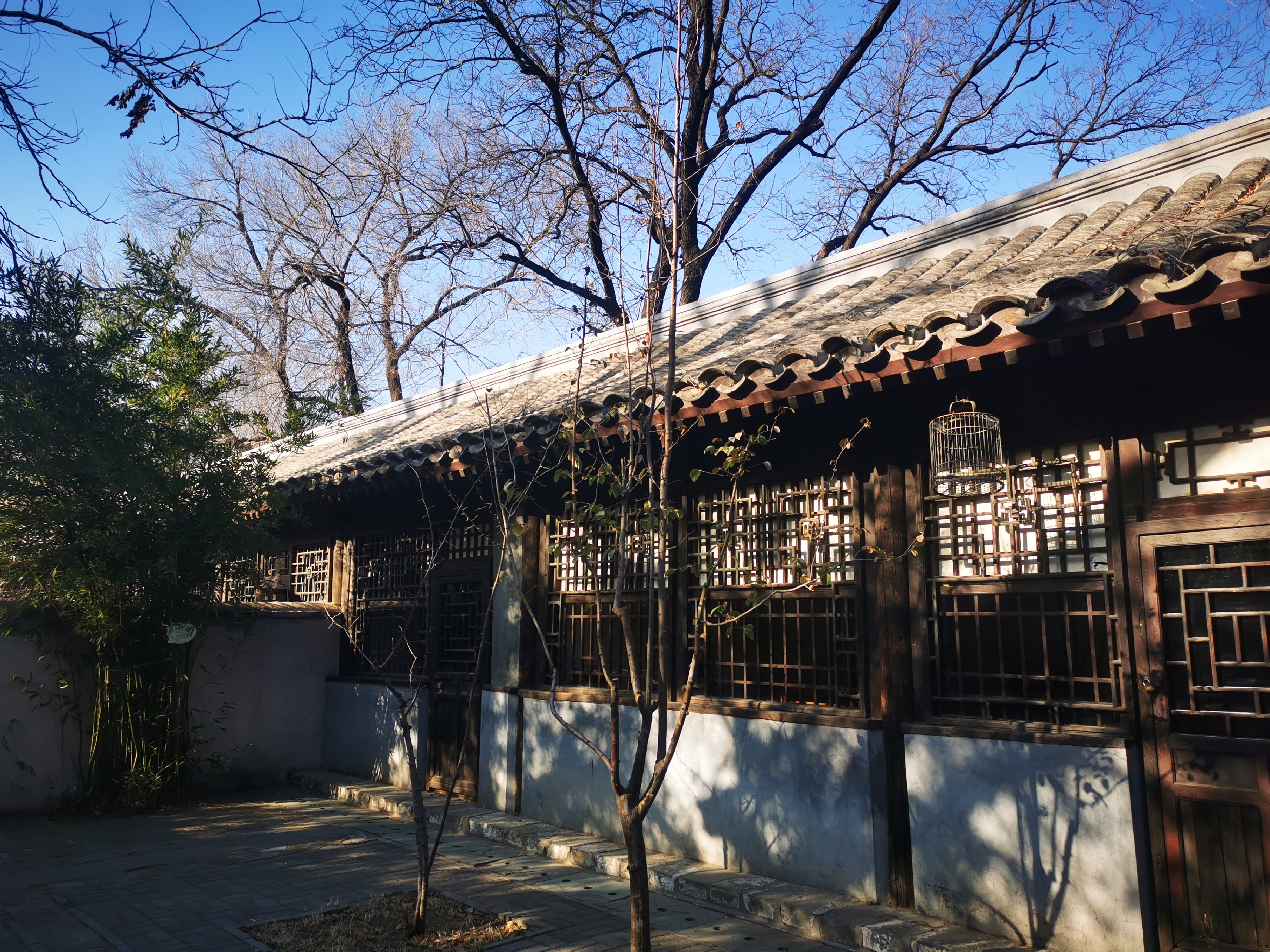 #北京植物园#西山下的北京植物园非常好看，尽管在冬日里