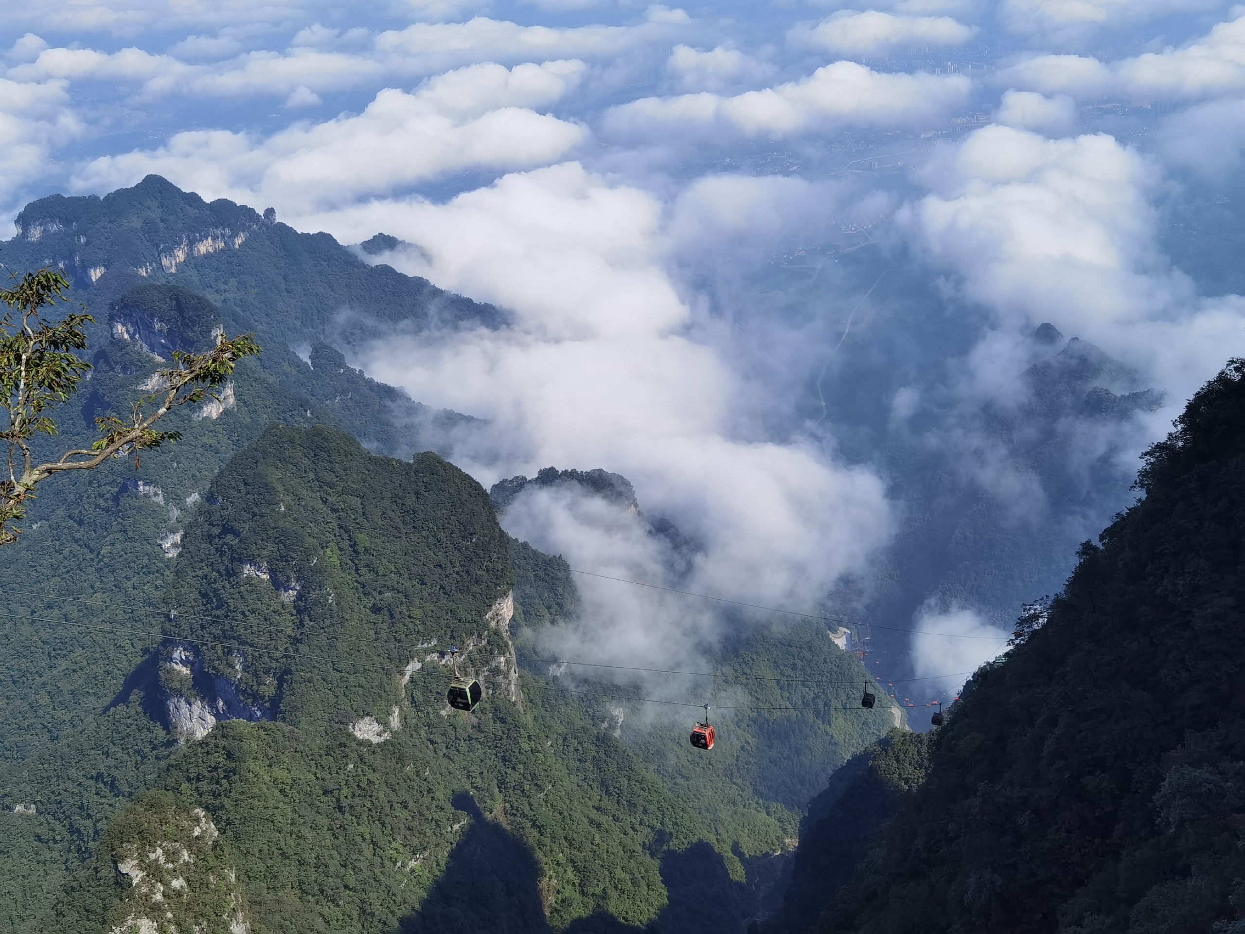 天门山国家森林公园-2020最新天门山国家森林公园图片大全