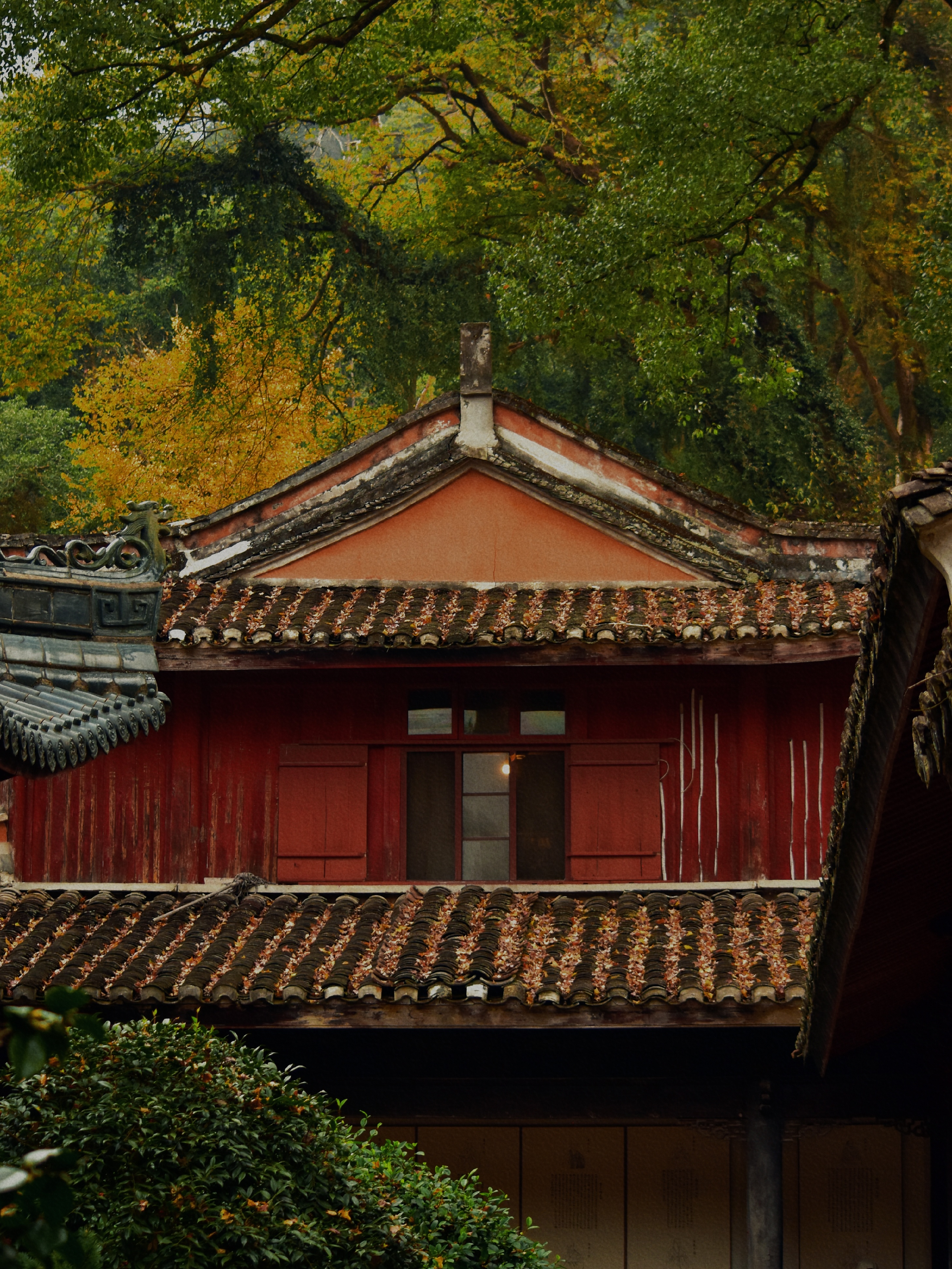 台州周边游！低调了1400年的隋代古刹国清寺详细攻略