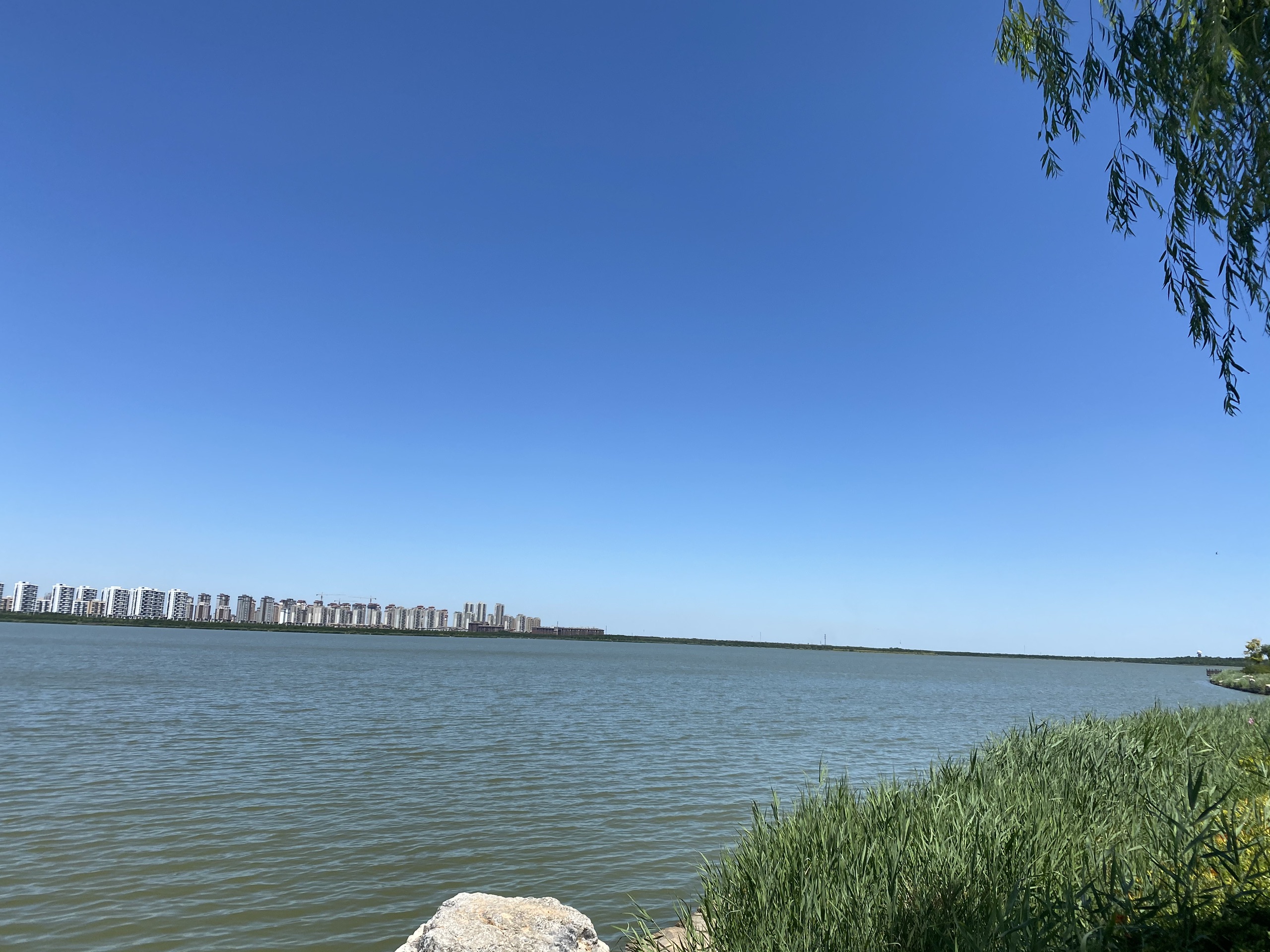 东丽湖-2020年最新东丽湖美景图片