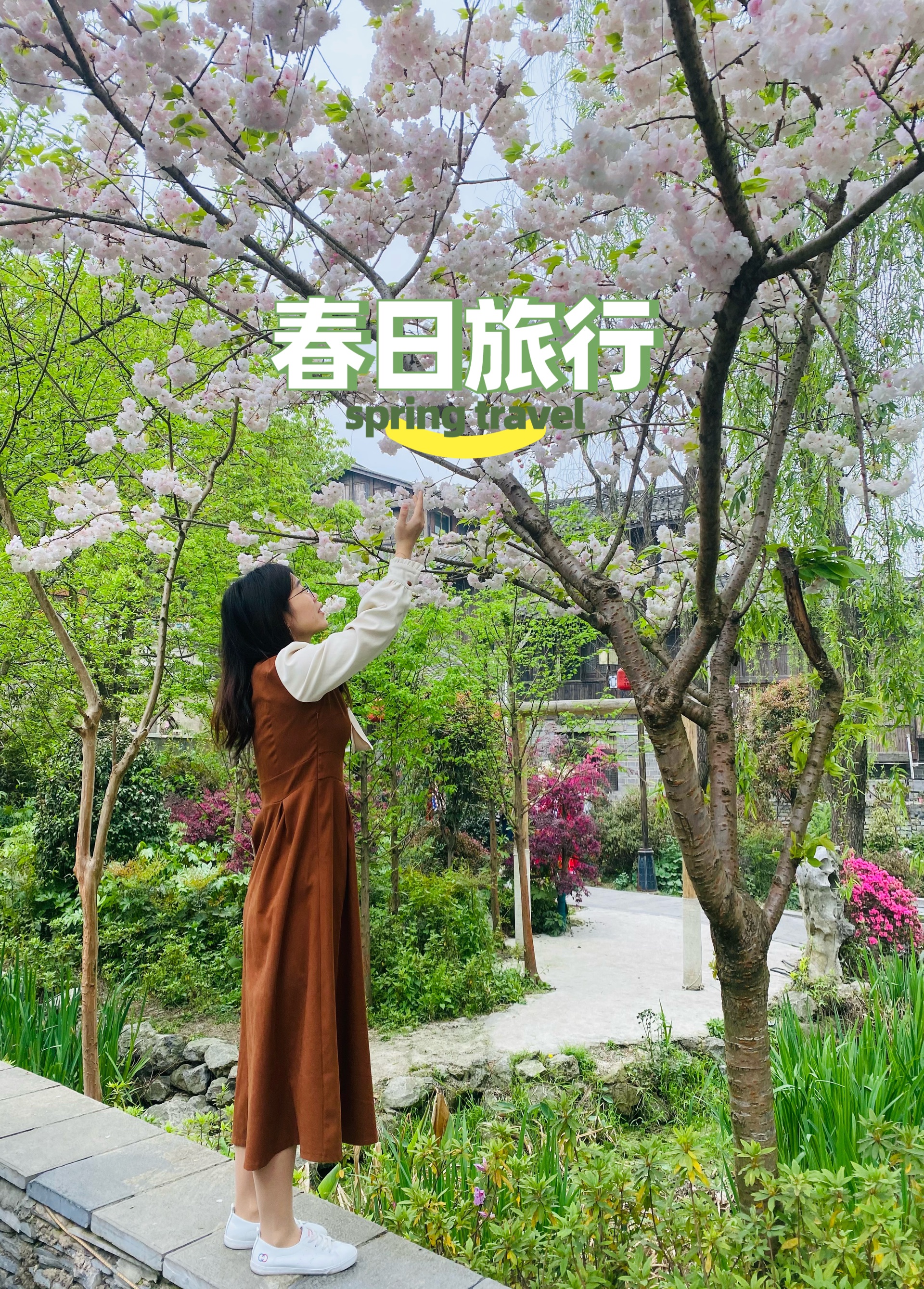 2021春日，贵阳市区青岩古镇邂逅浪漫樱花