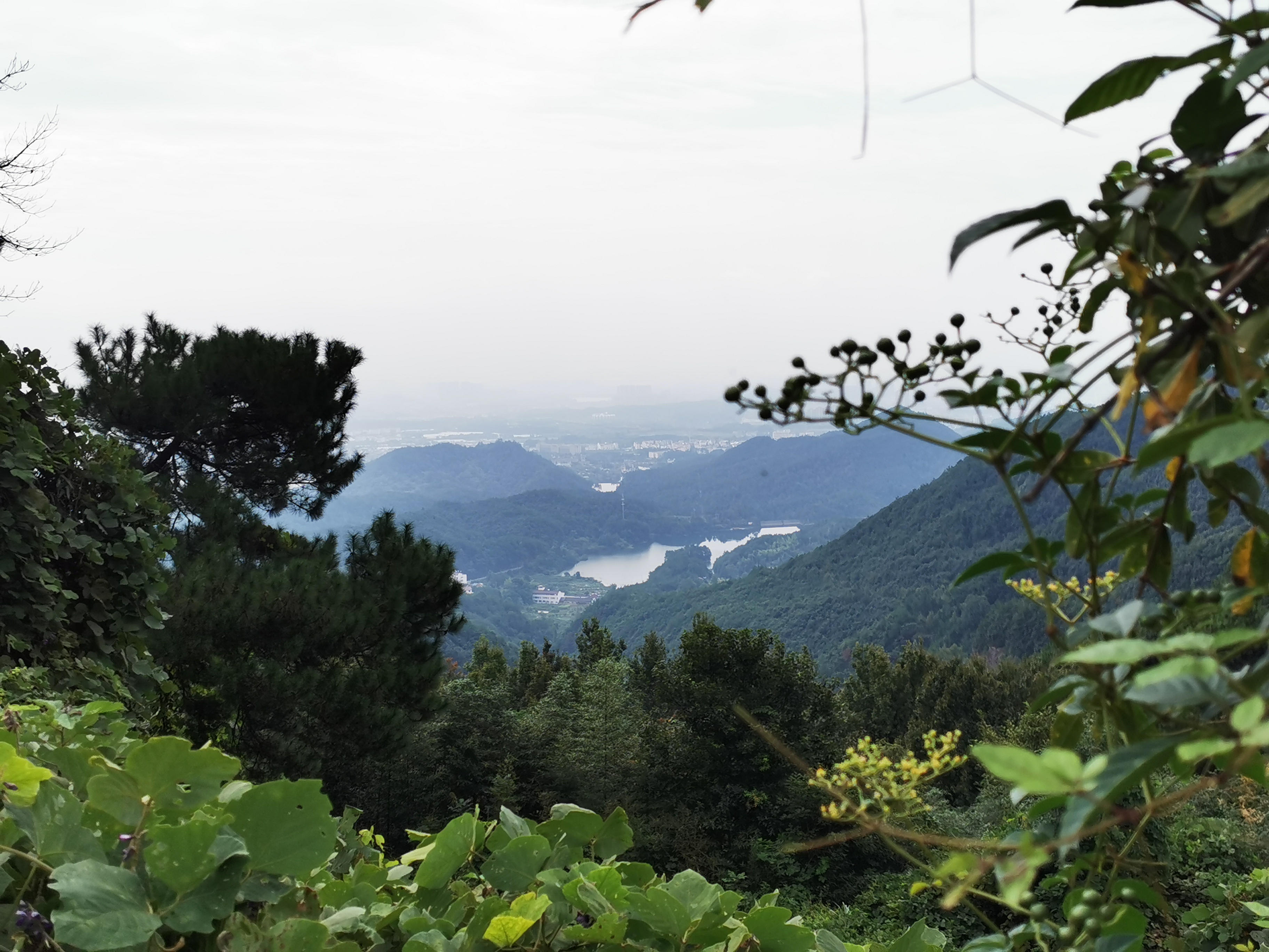 爬仙华山风景名胜区-总体来说还是比较轻松的，可以来山上看看风景，吸吸氧
