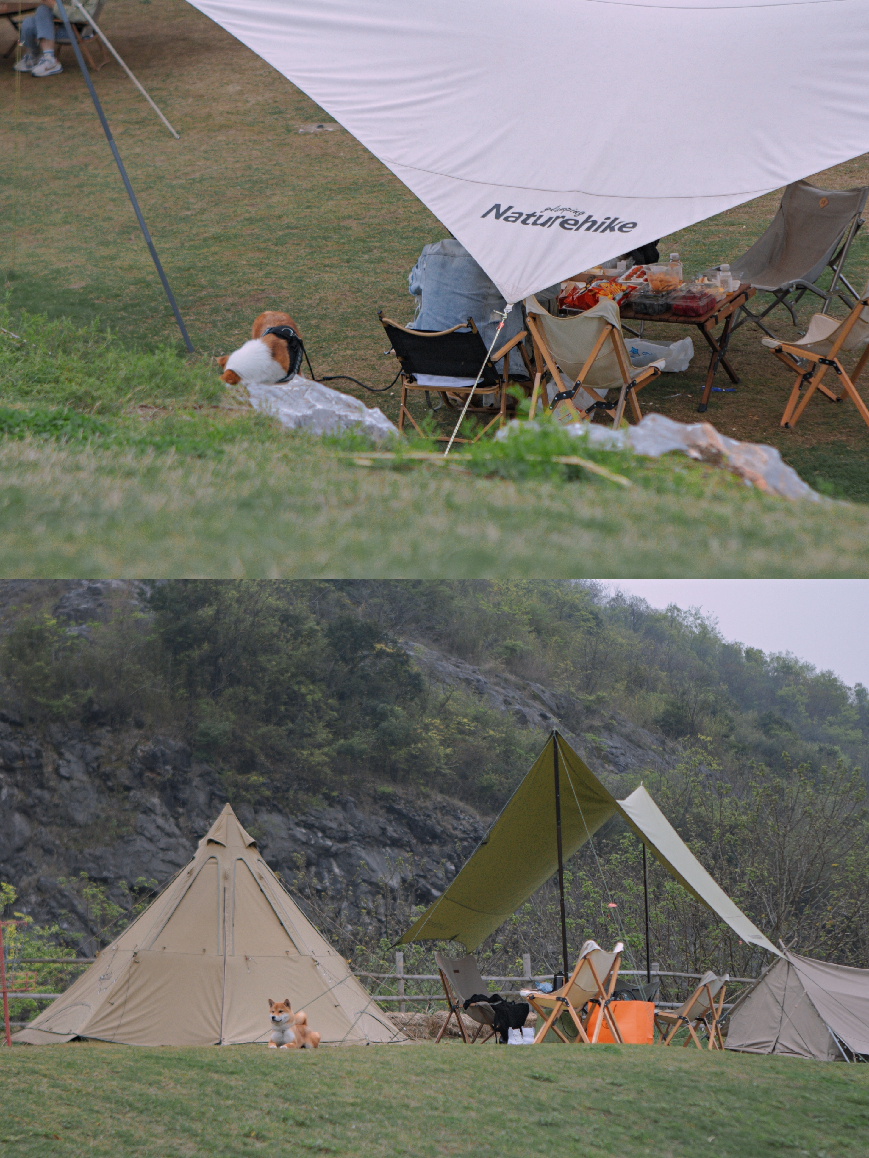 杭州周边露营地点推荐—杭州近郊超火爆露营地，韩式烧烤过夜帐篷拎包入住！
