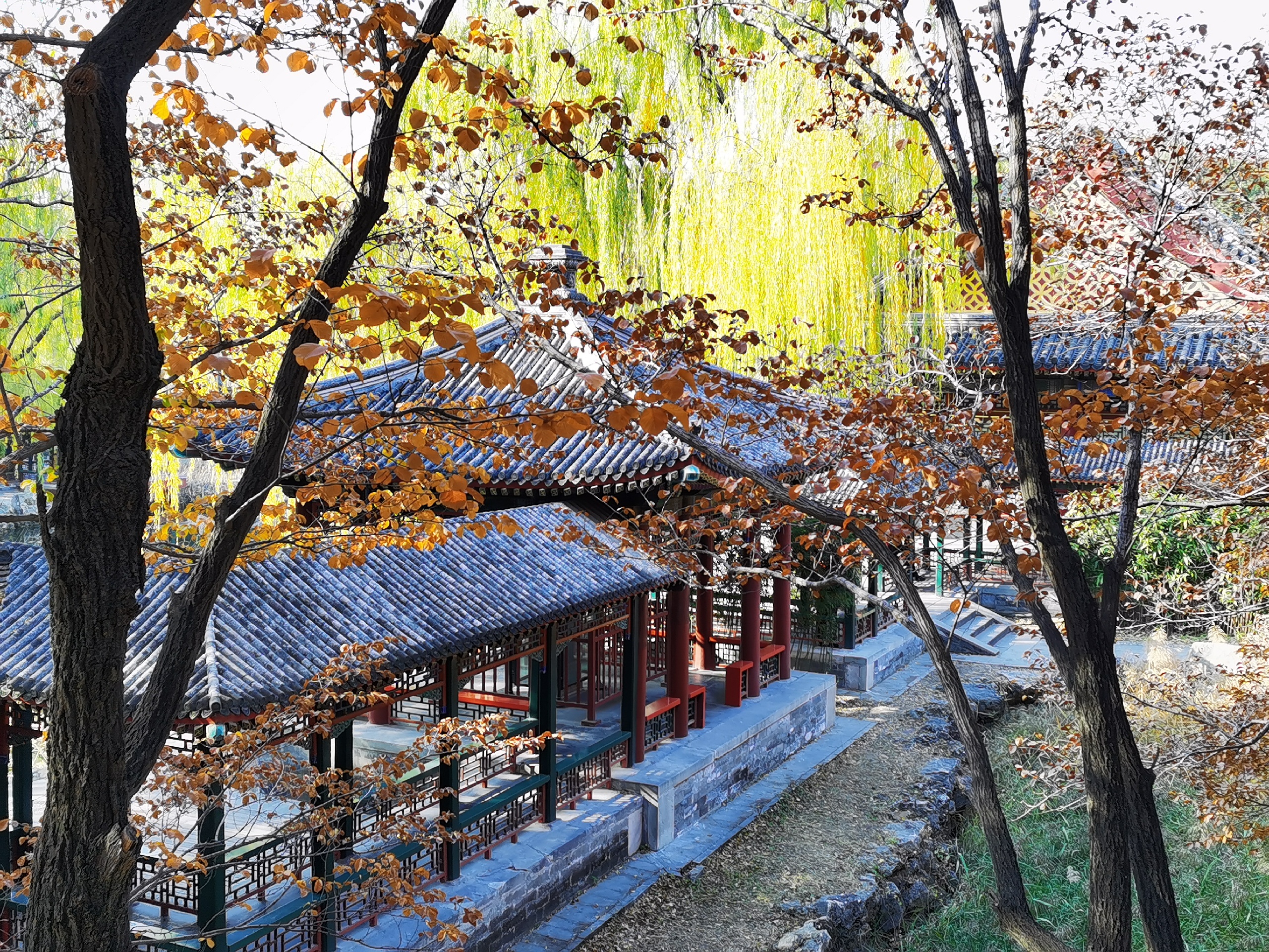 颐和园-2020.11.4摄于北京颐和园图片分享