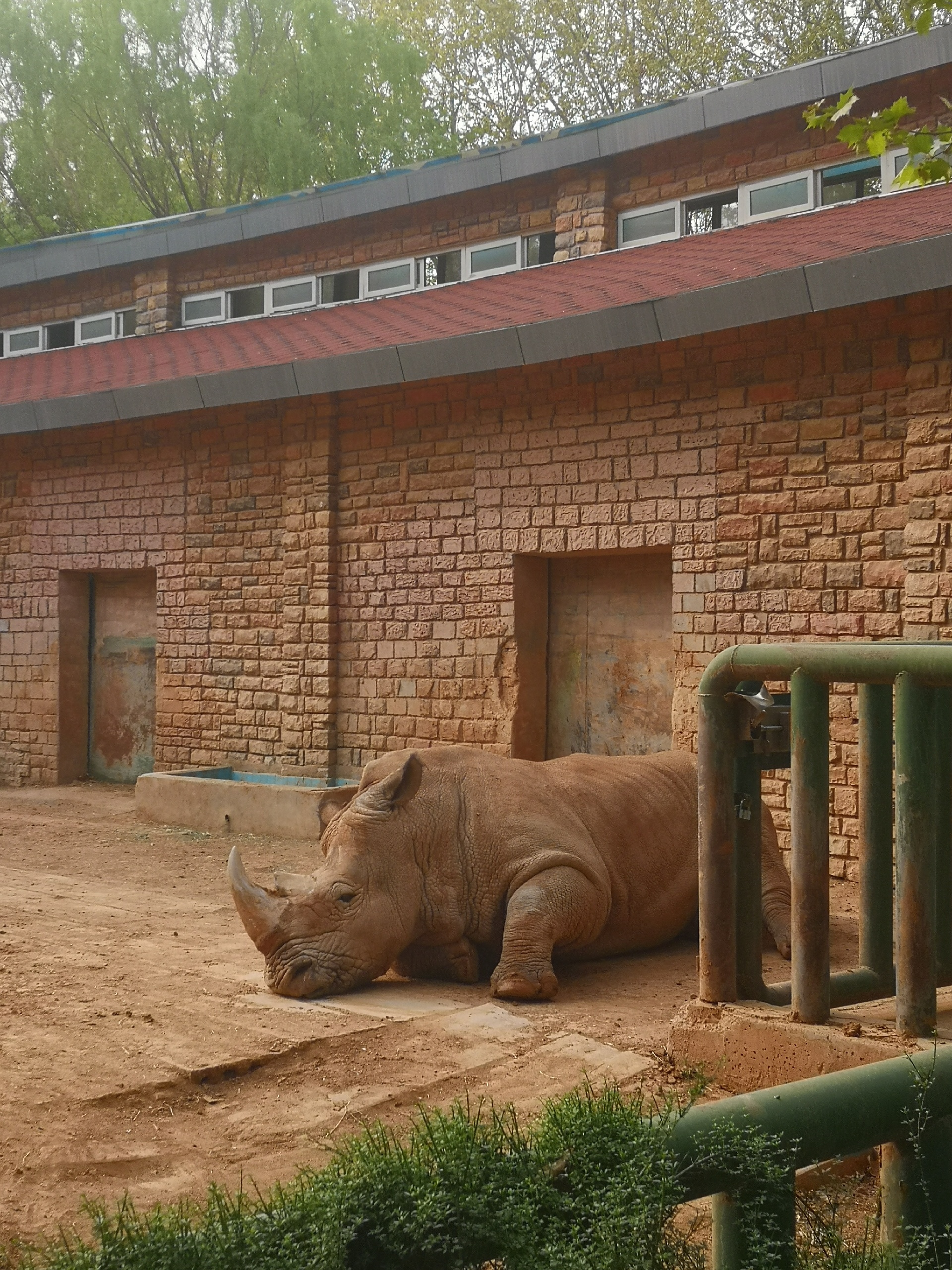 郑州市动物园目前河南省唯一一座专业性动物园
