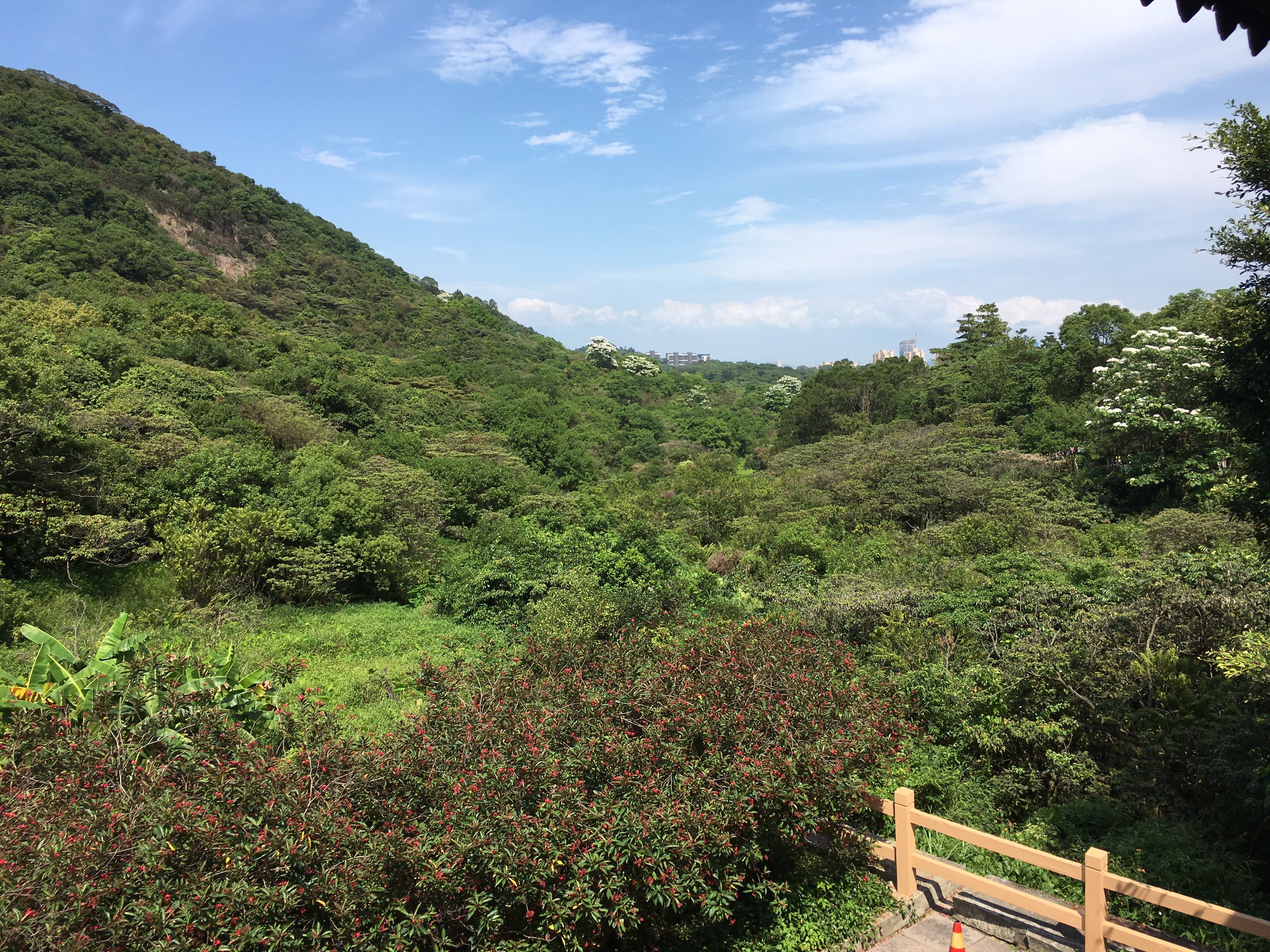 黄山鲁森林公园是广州地区最大的免费森林公园