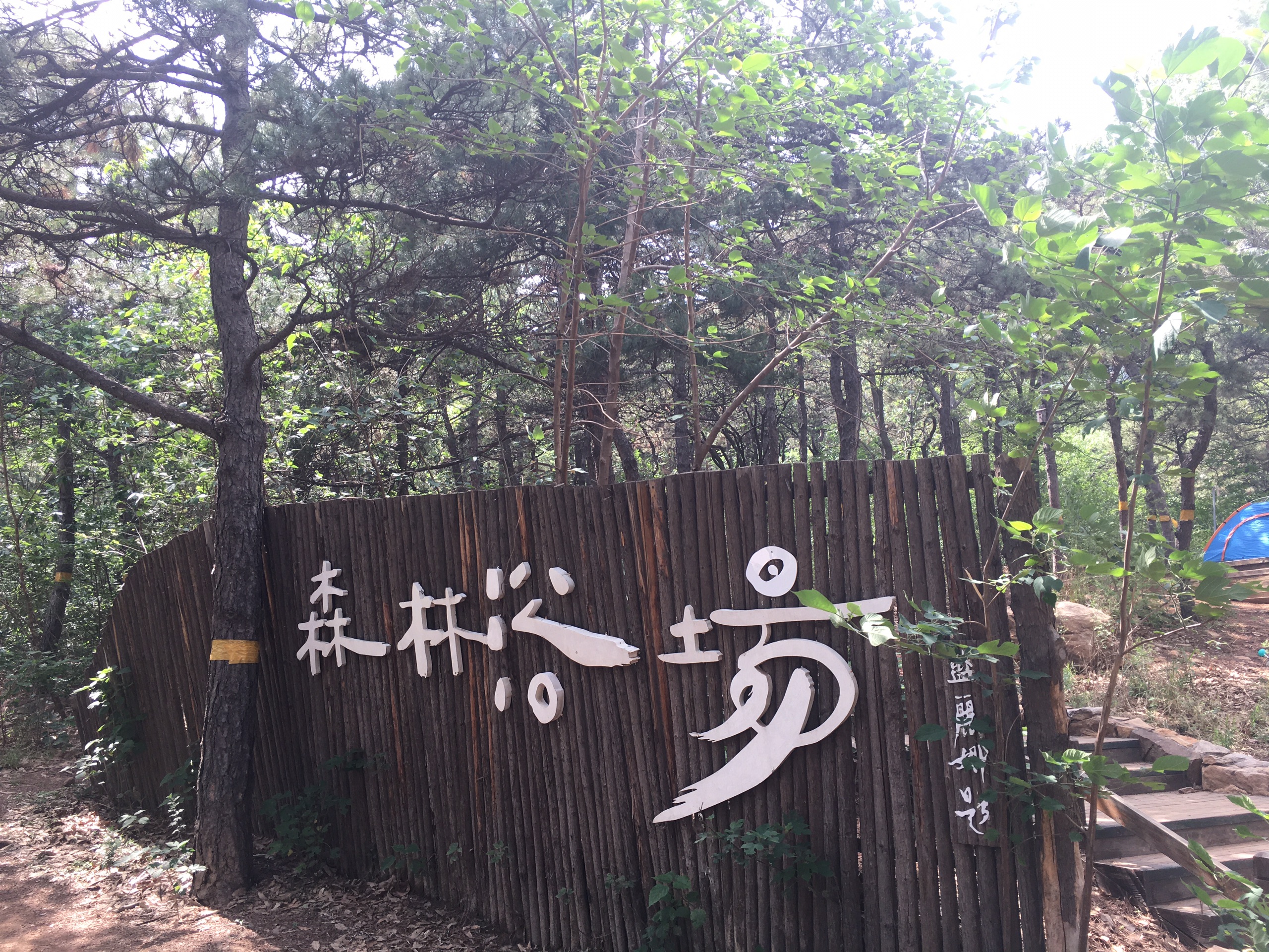 西山森林公园图片分享景色不错_北京西山森林公园