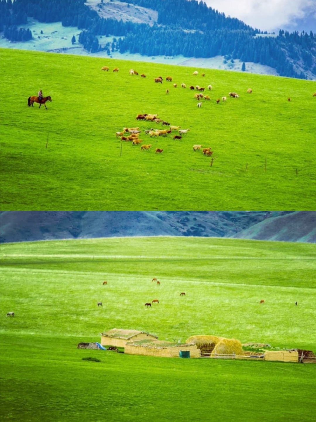 那拉提草原-新疆自驾旅行|比瑞士还美，仿佛人间伊甸