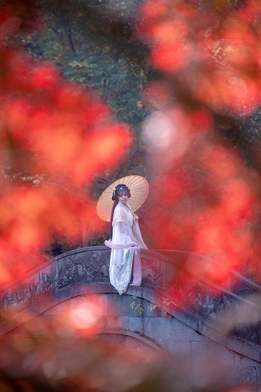 杭州哪里赏秋？杭州的秋天有多绝，花港观鱼的红枫美翻了‼️