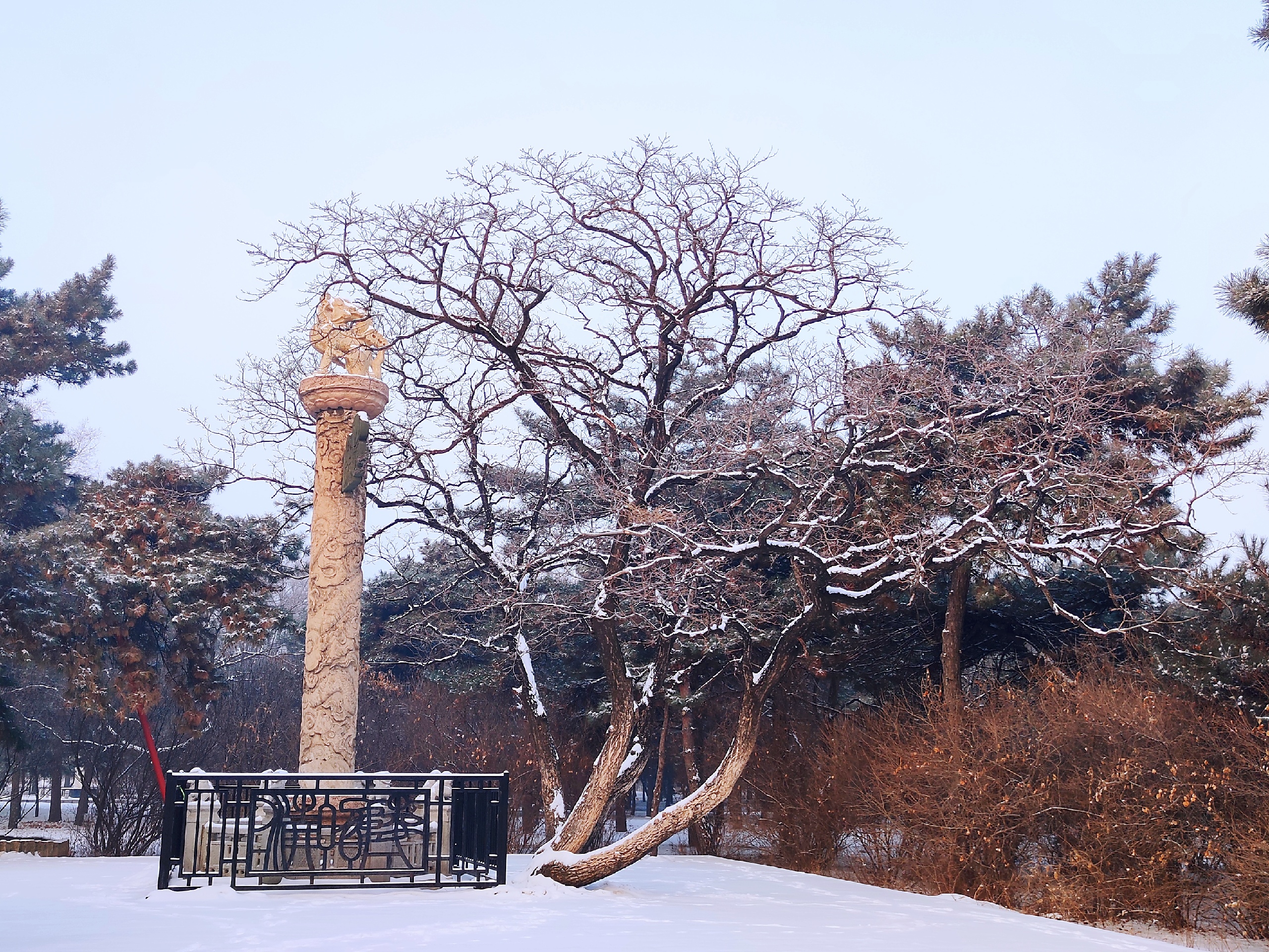 2021年1月26日沈阳北陵公园，雪后景色图片