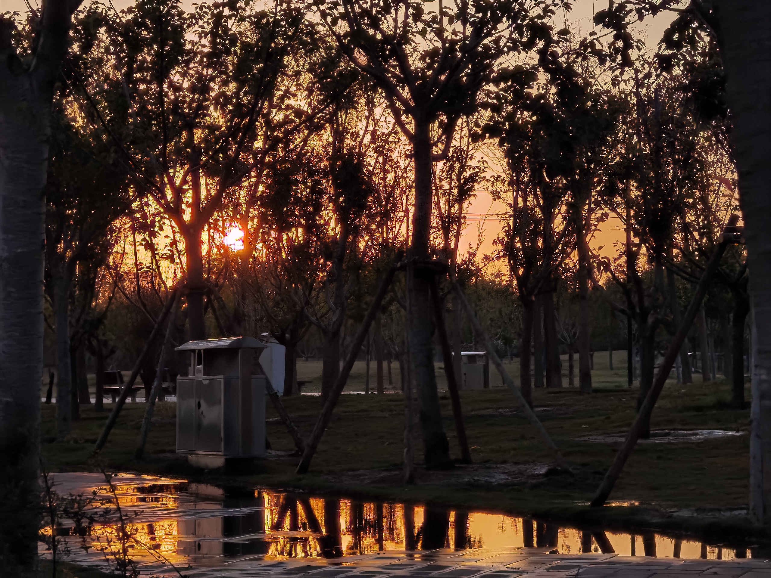 象湖生态湿地公园日落图片