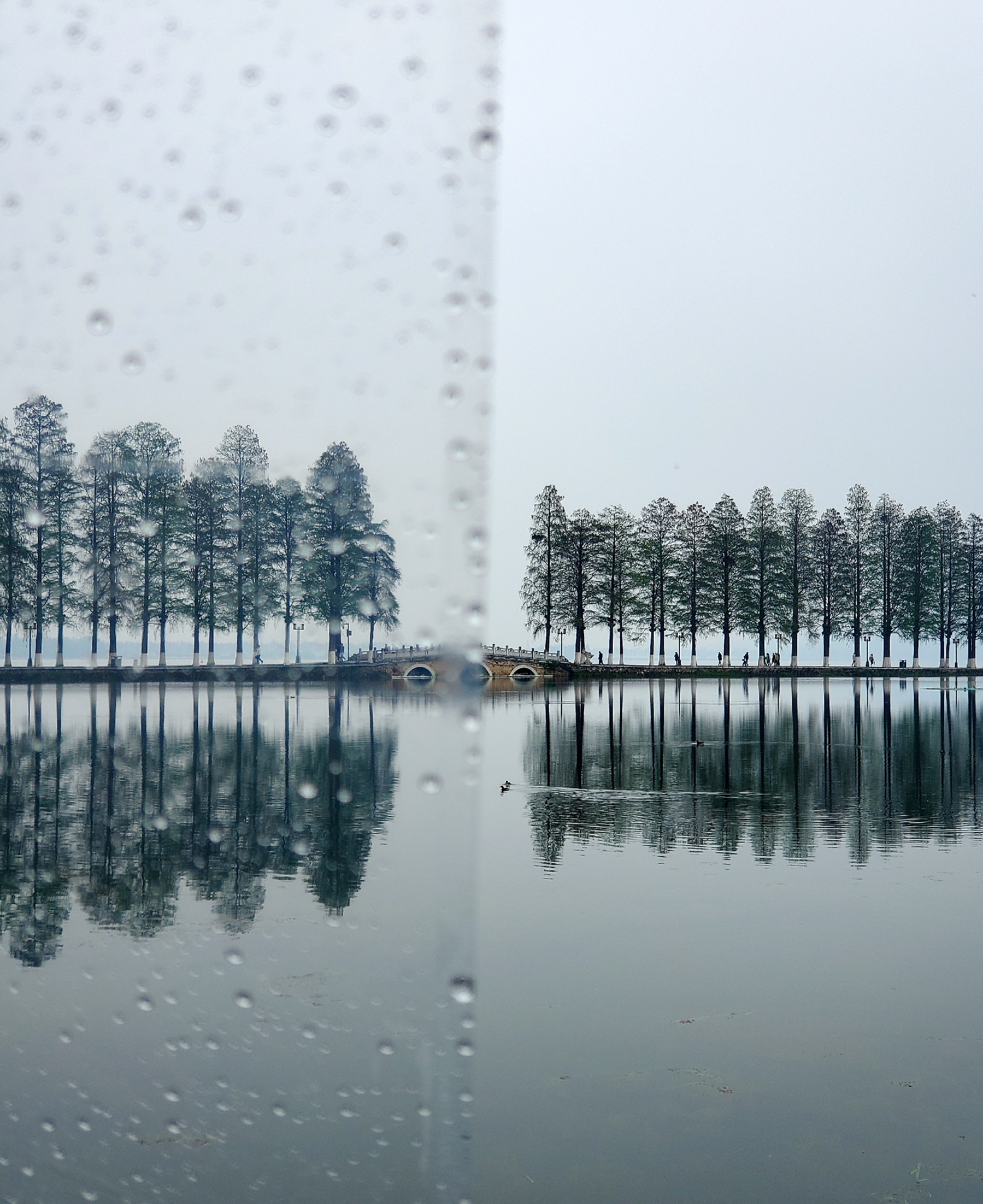 武汉细雨蒙蒙中的周末好去处——东湖听涛景区