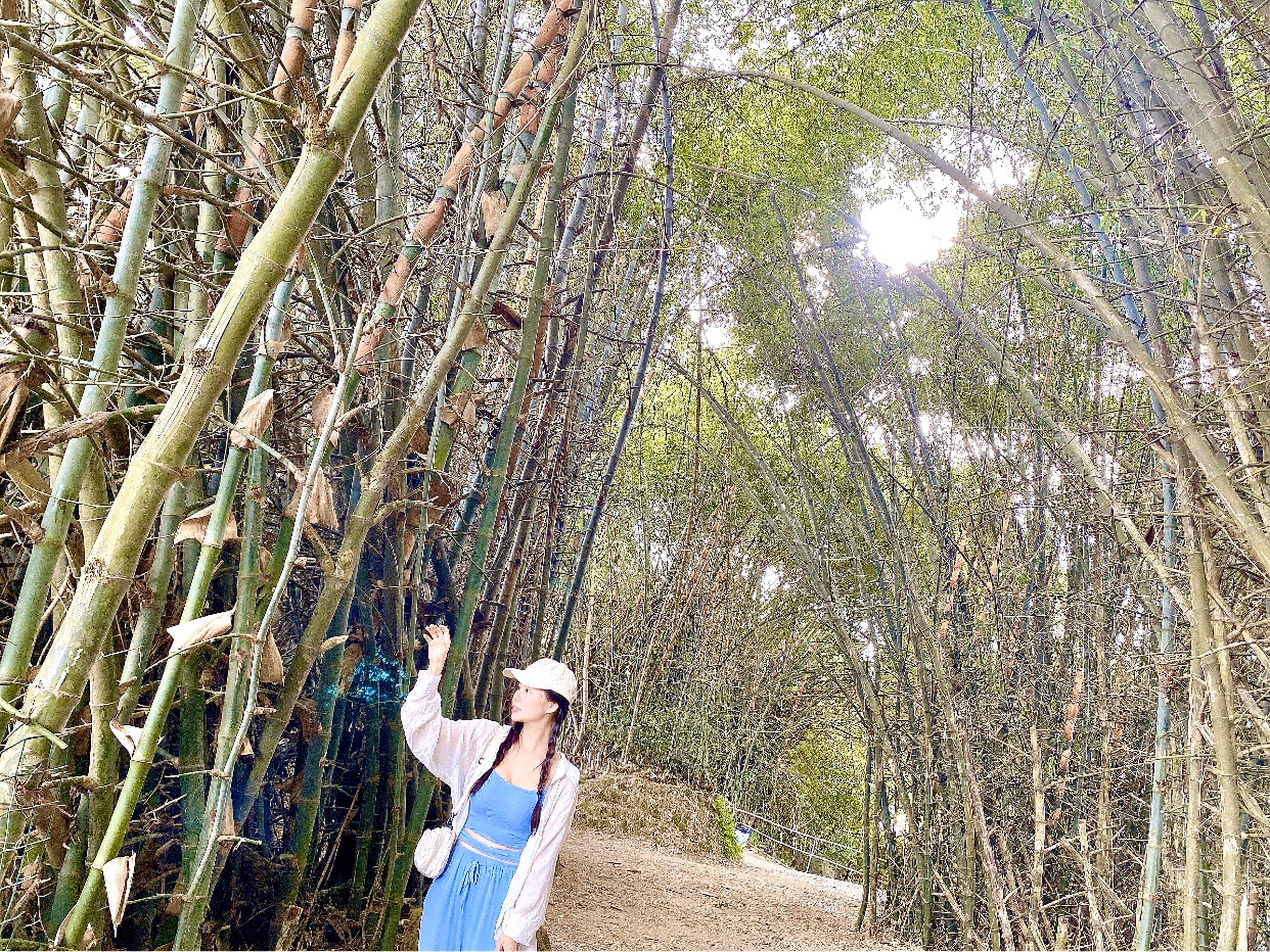 周末好去处-惠州自驾游#紫溪半岛花海世界