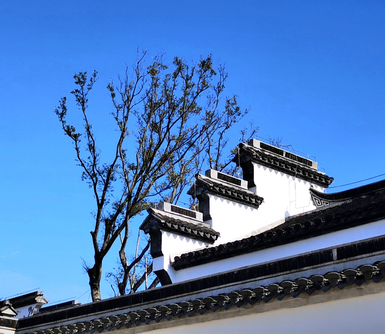 上海周边拍照胜地！广富林文化遗址的初冬
