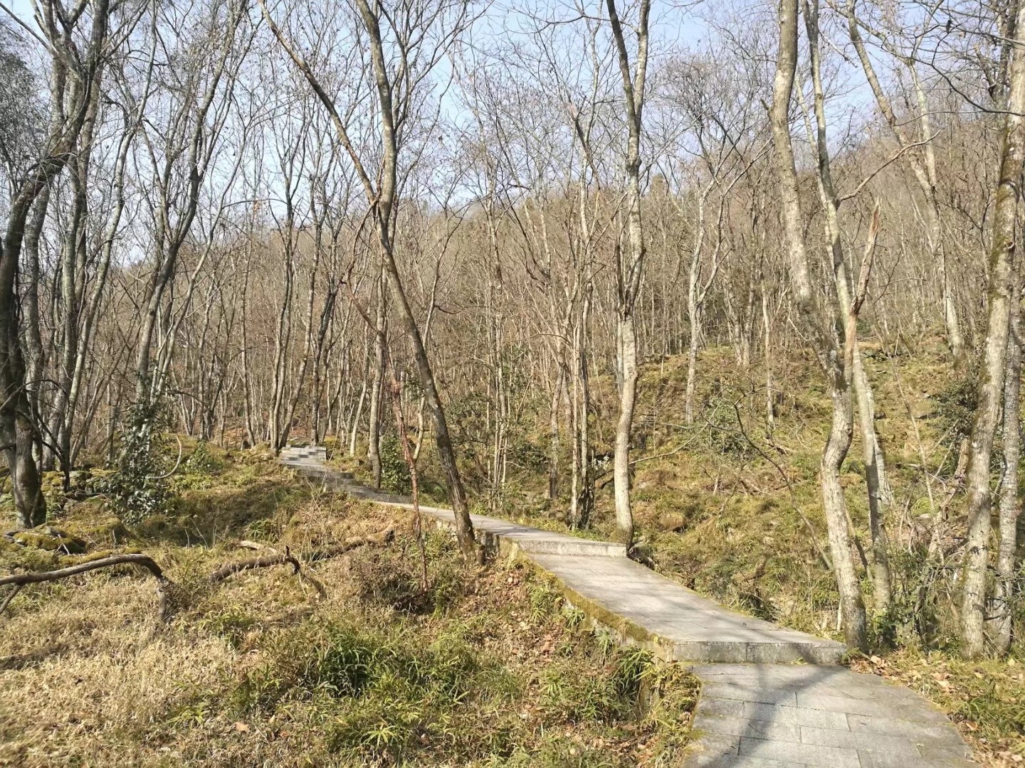 带你看小众景点…四川广元市青川县唐家河国家森林公园