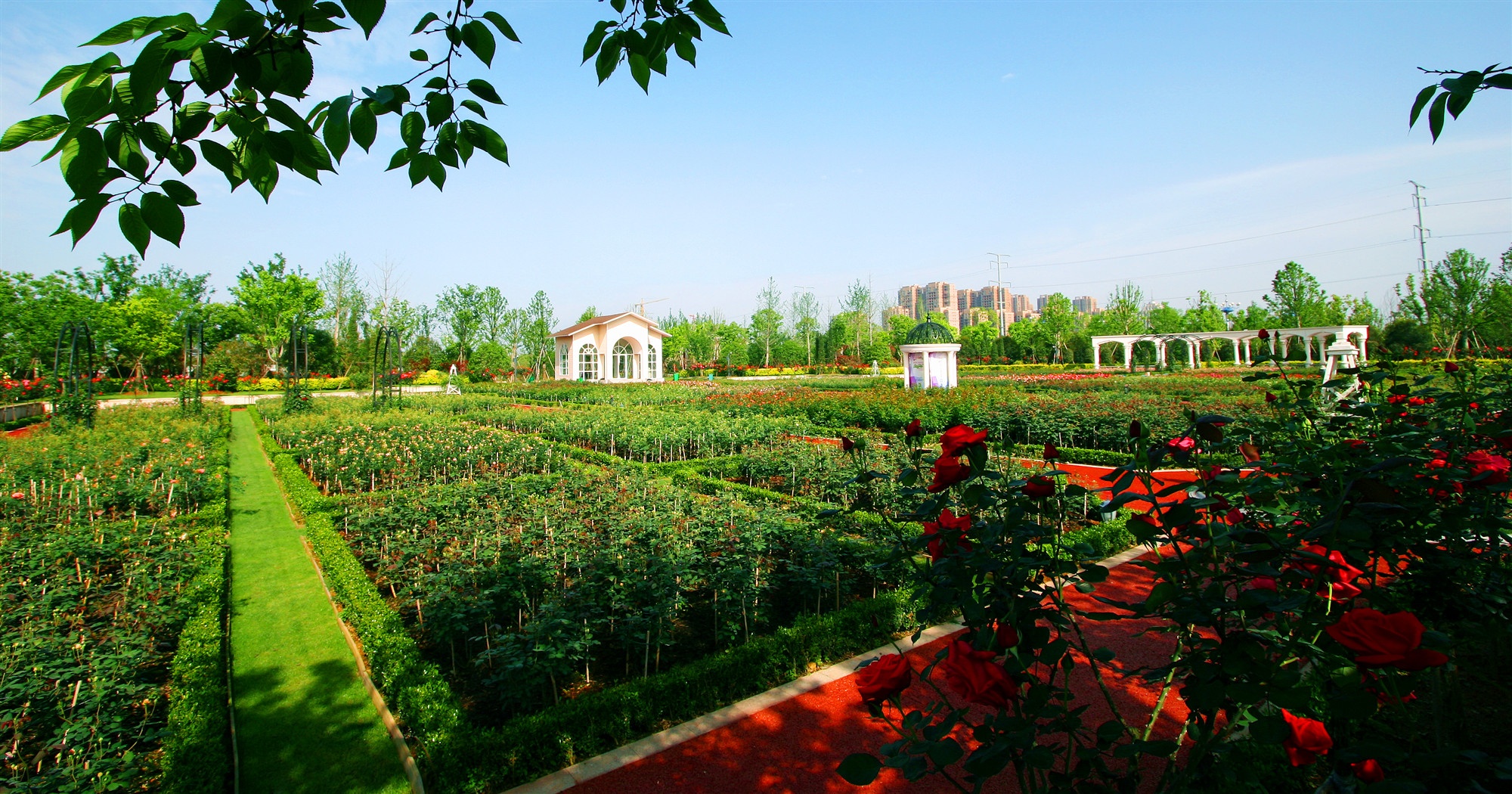 三翁花园位于是抚州市临川区玉茗大道，是江西省内范围最大的生态型花卉公园