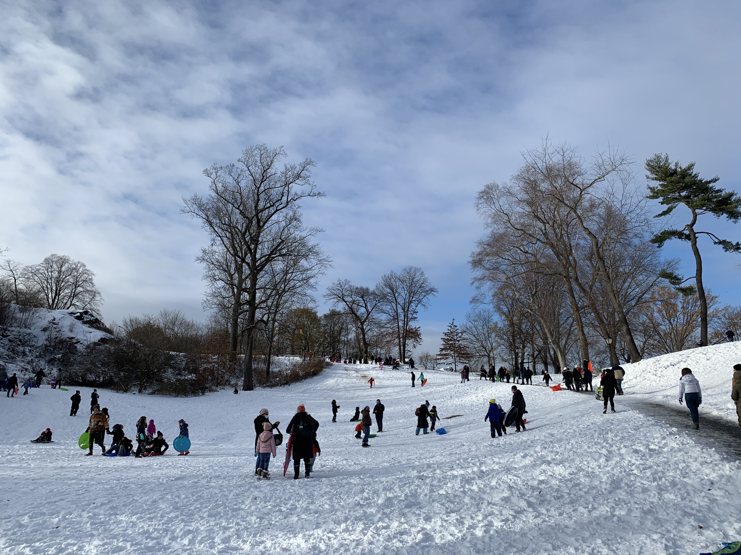 2020暴雪过后的纽约中央公园