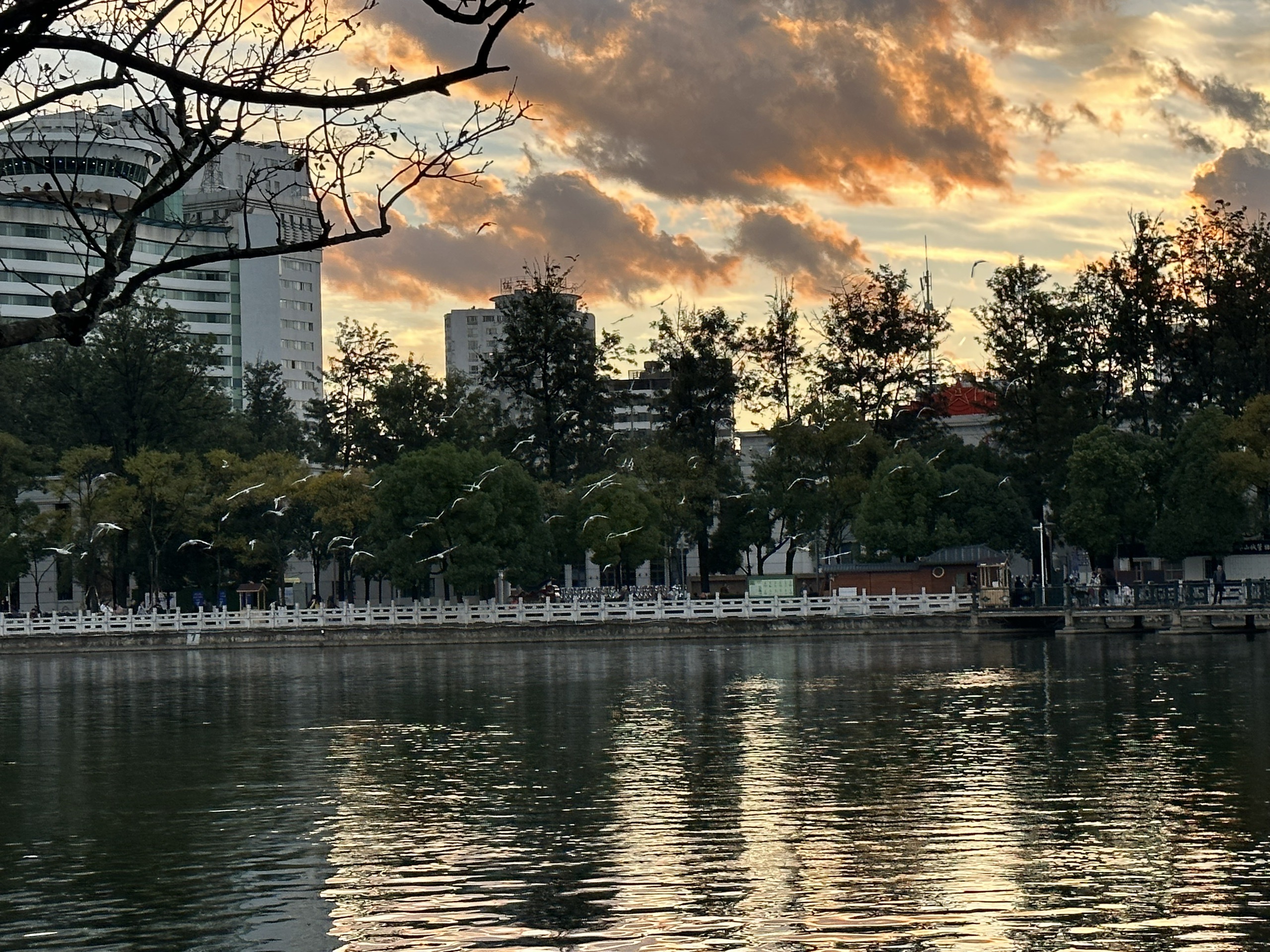 2023年11月打卡的昆明翠湖公园图片分享
