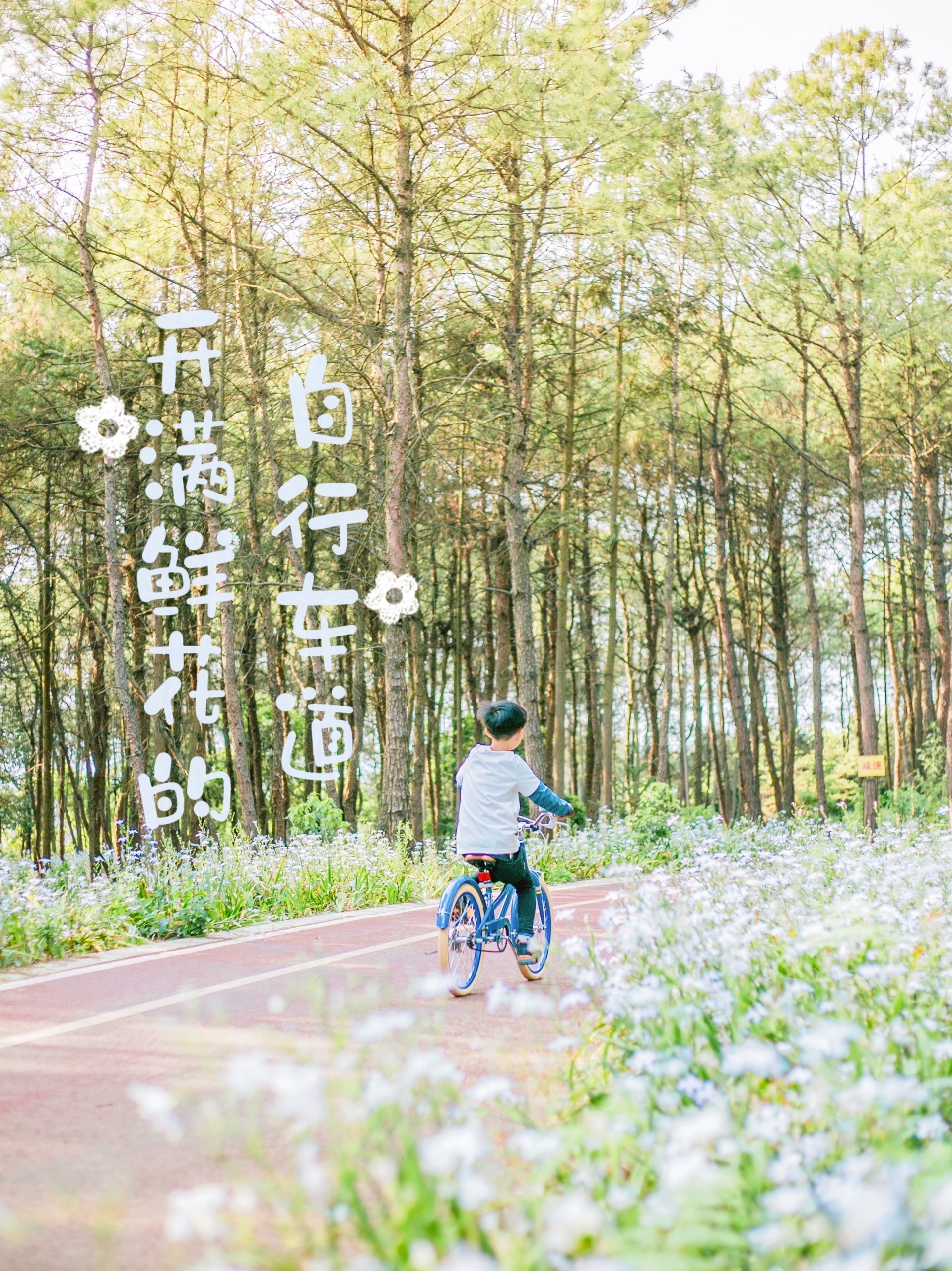 重庆周末亲子游推荐地•这个免费亲子自行车道开满鲜花