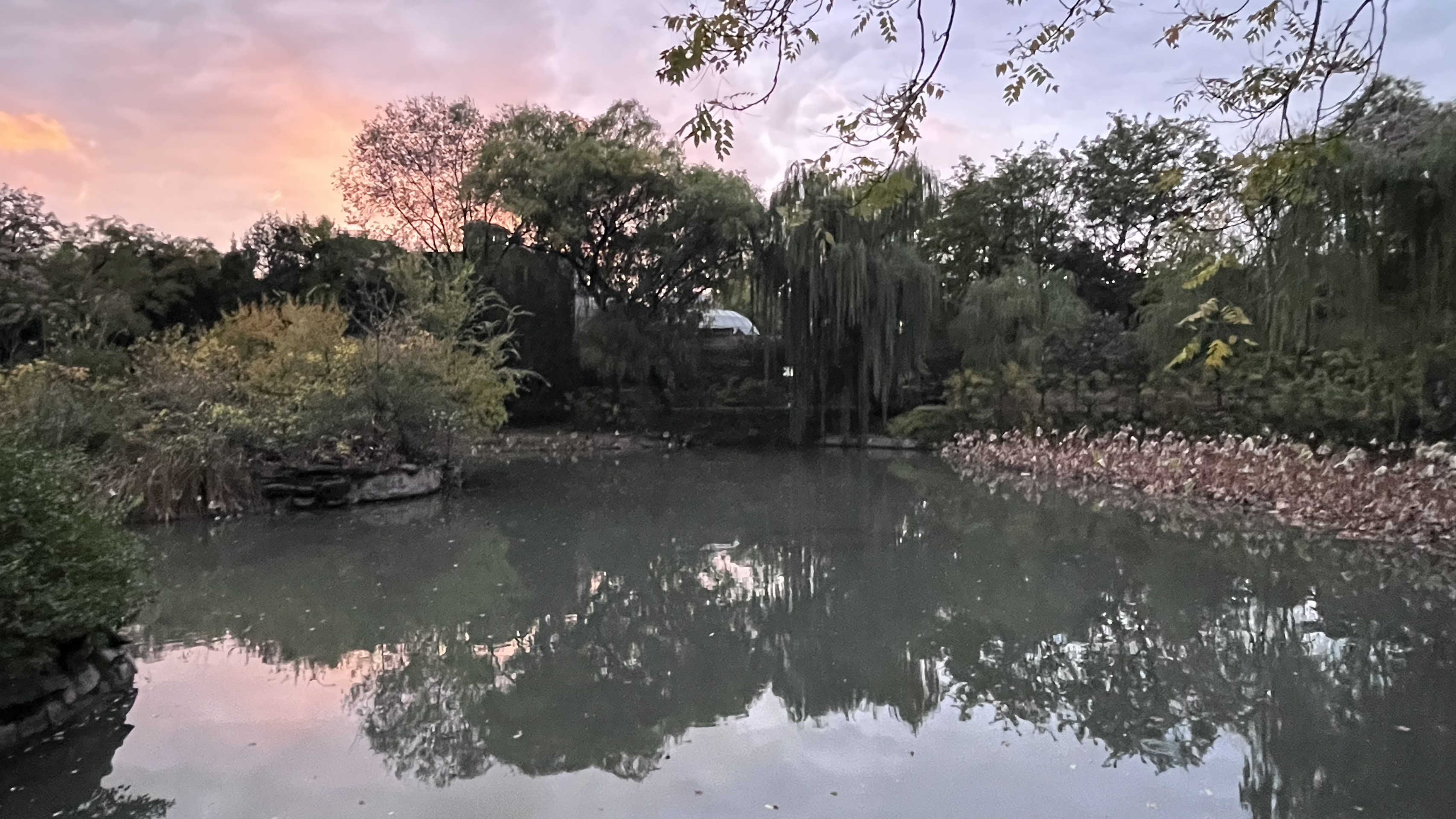 2023北京动物园寻秋～看古建～走过五塔寺路、过拱桥