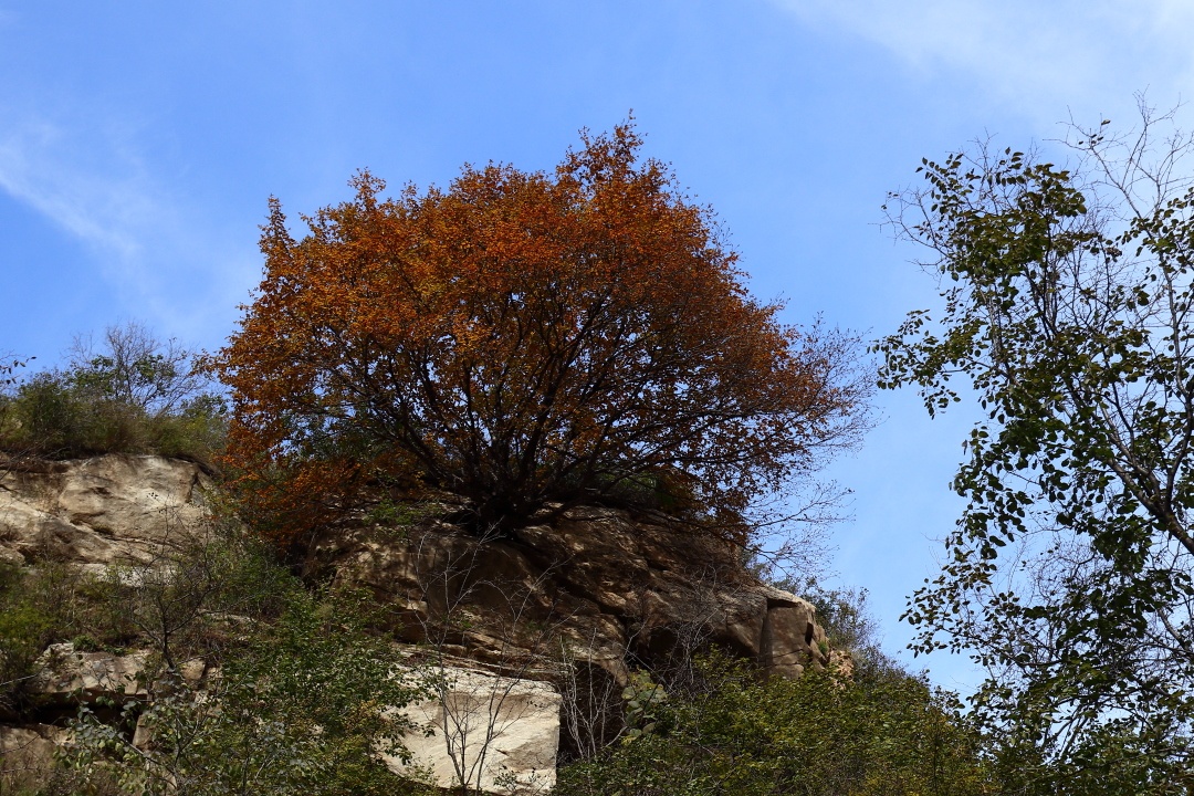 黑山大峡谷，本来是去看红叶的