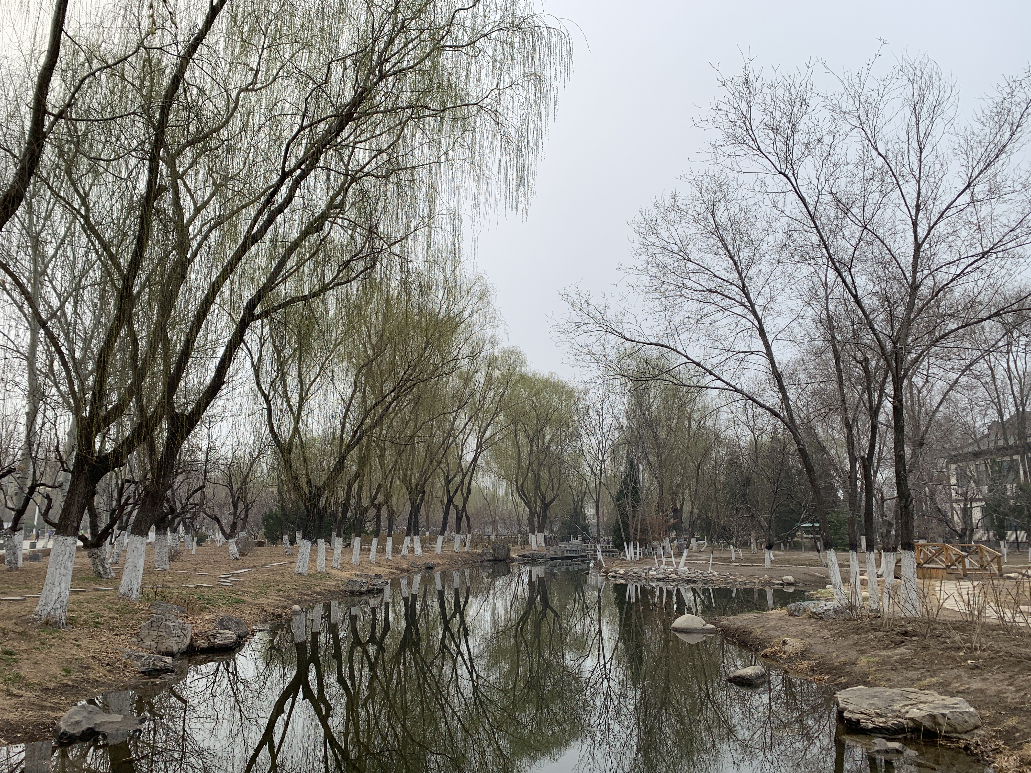 西沽公园，这次也是因为桃花堤公园由于疫情限制了开园时间，故先来这里转一转