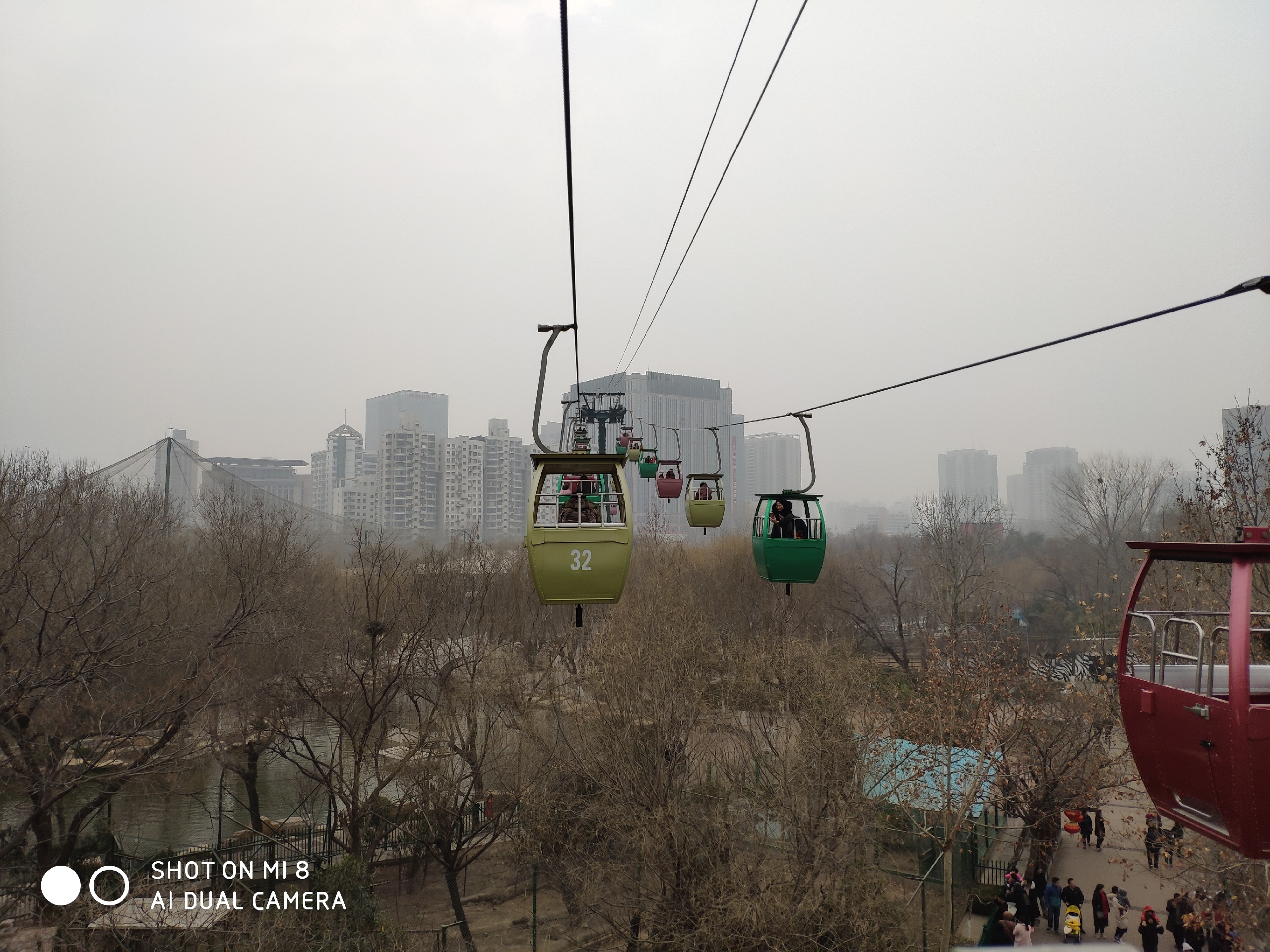 平平淡淡，开开心心，幸福快乐，健康成长-郑州市动物园