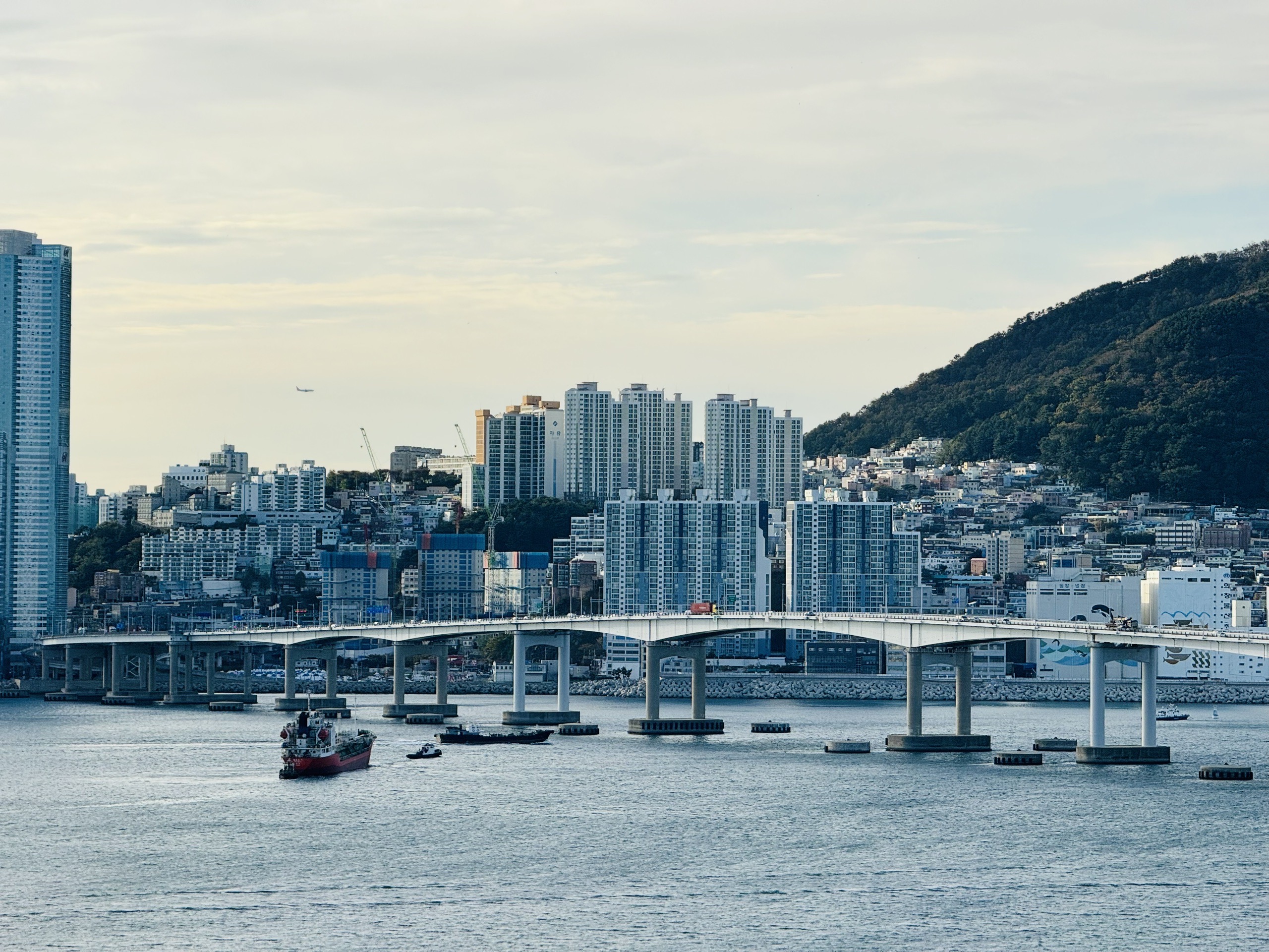 出门见海的釜山，一座拍出高级蓝的城市_白浅滩文化村