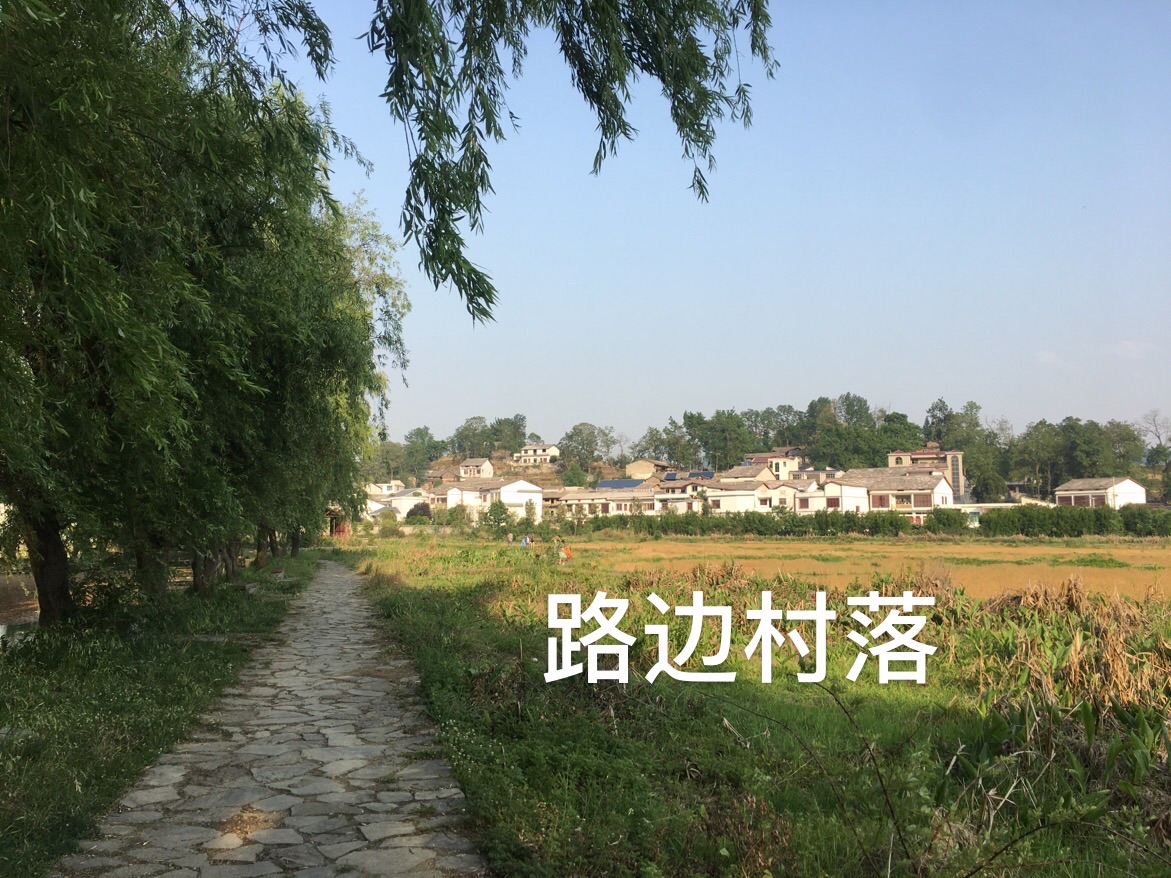 2020.5.6贵州自驾乌蒙大草原这是一条春游路线