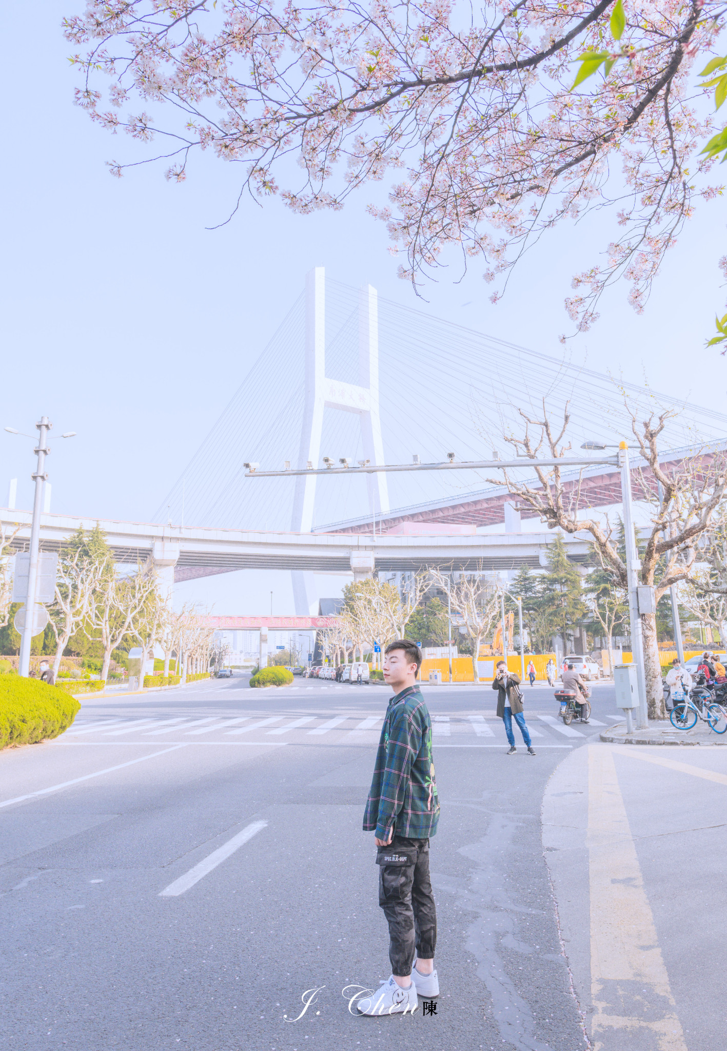 上海·南浦大桥丨这个春天，我们去这座樱花车站拍樱花吧