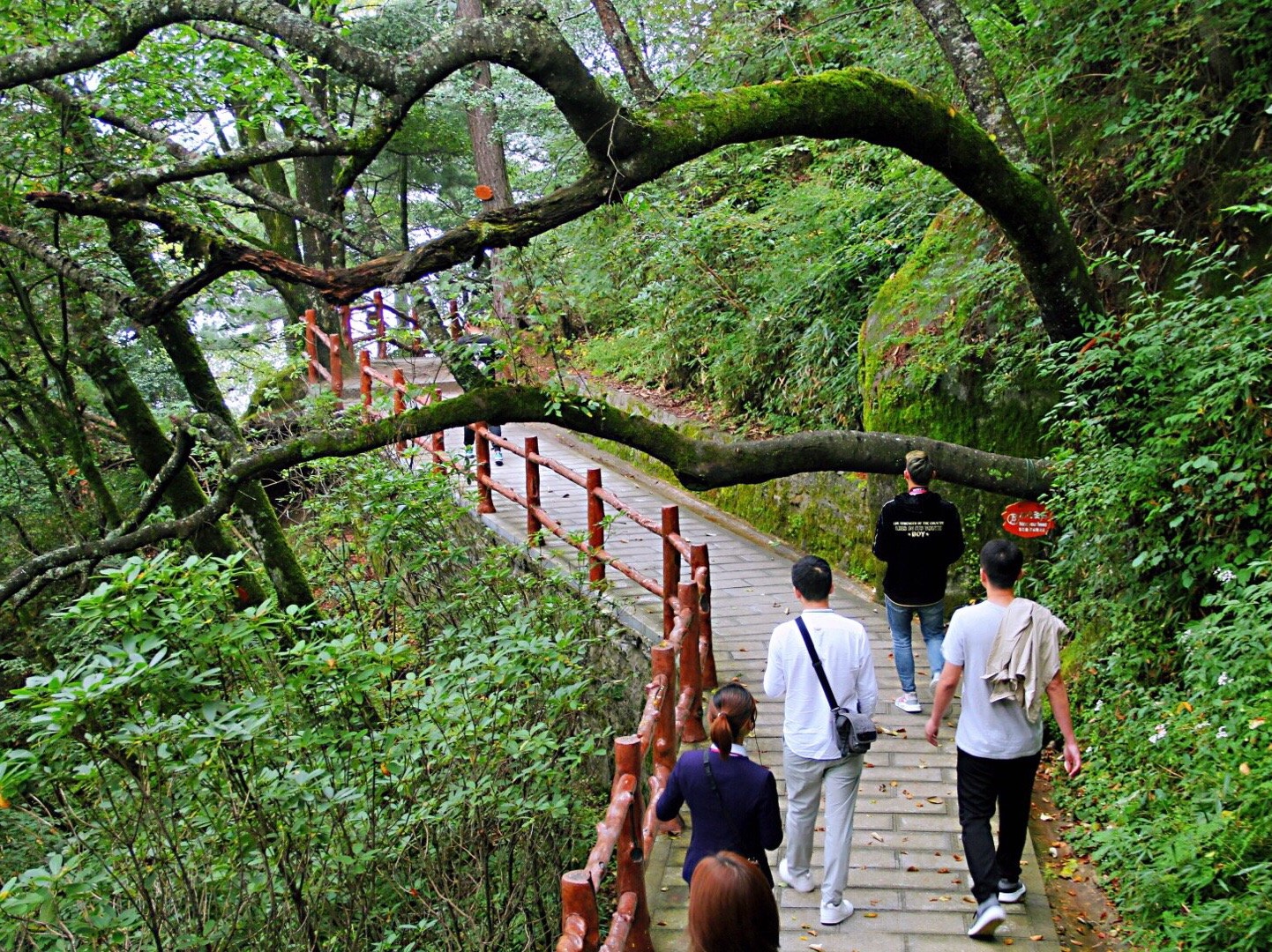 木王国家森林公园为国家AAAA级旅游景区