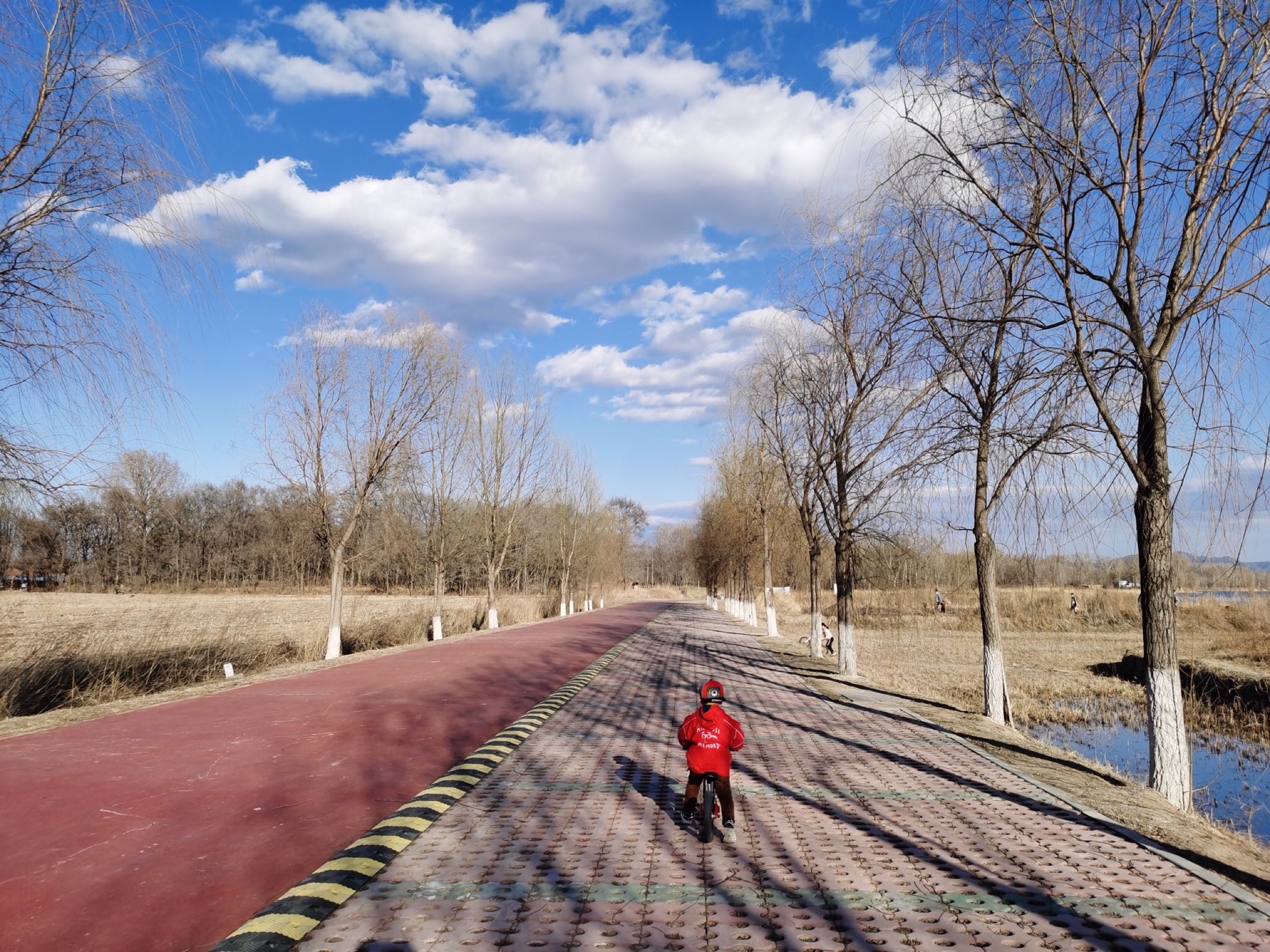 北京周末溜娃好去处-北京妫河森林公园