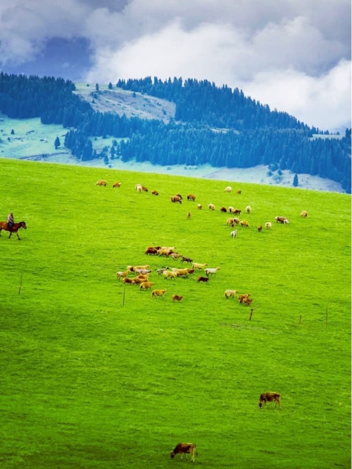 那拉提草原-新疆自驾旅行|比瑞士还美，仿佛人间伊甸