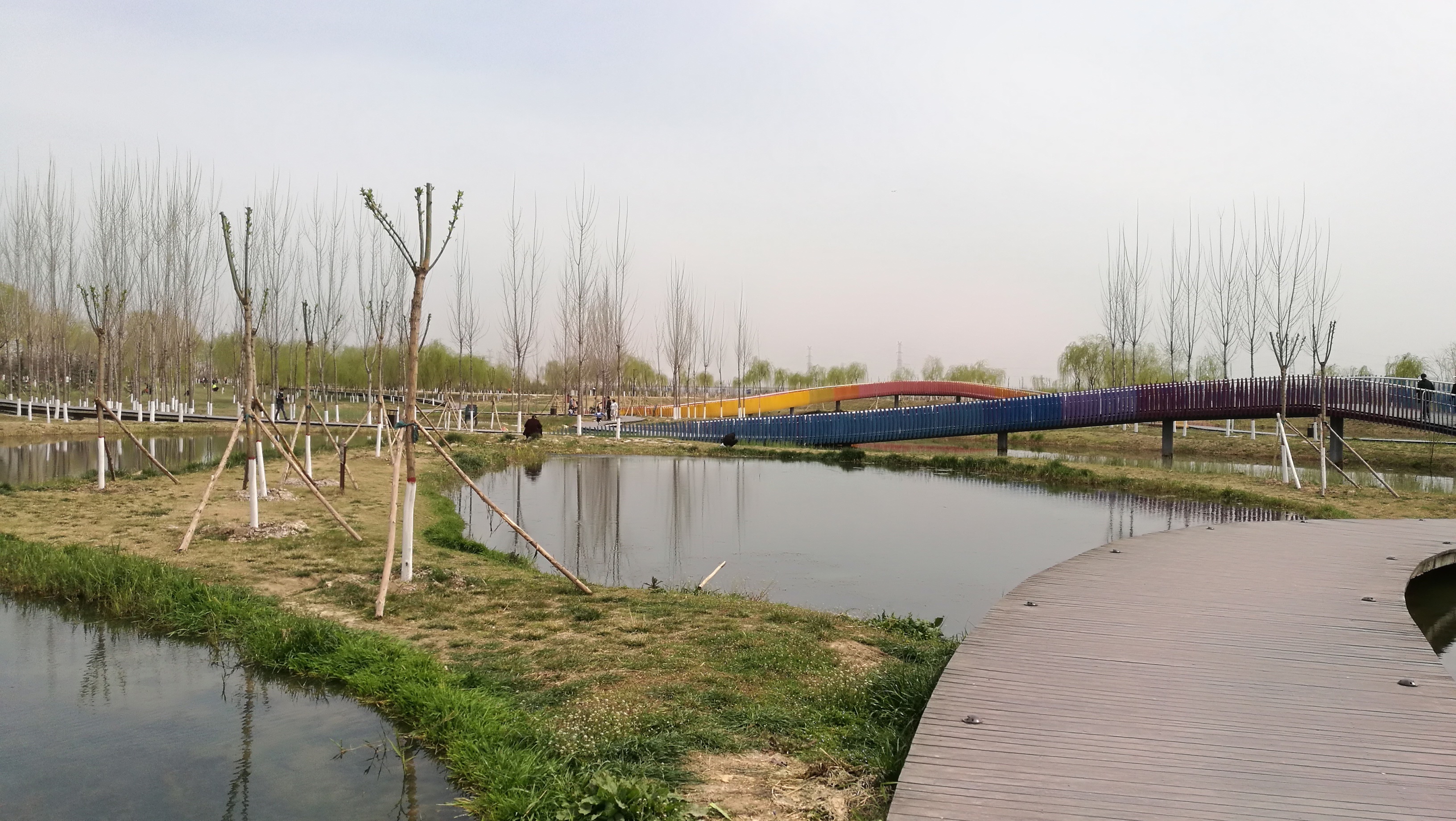 沣河湿地，吸氧观鱼赏玉兰。_咸阳市沣河森林公园