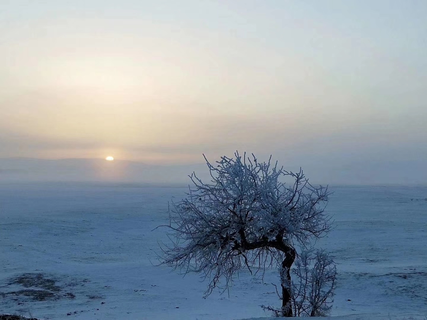 与其向往…不如出发，乌兰布统冬天的美丽_乌兰布统呼和哈达庄园