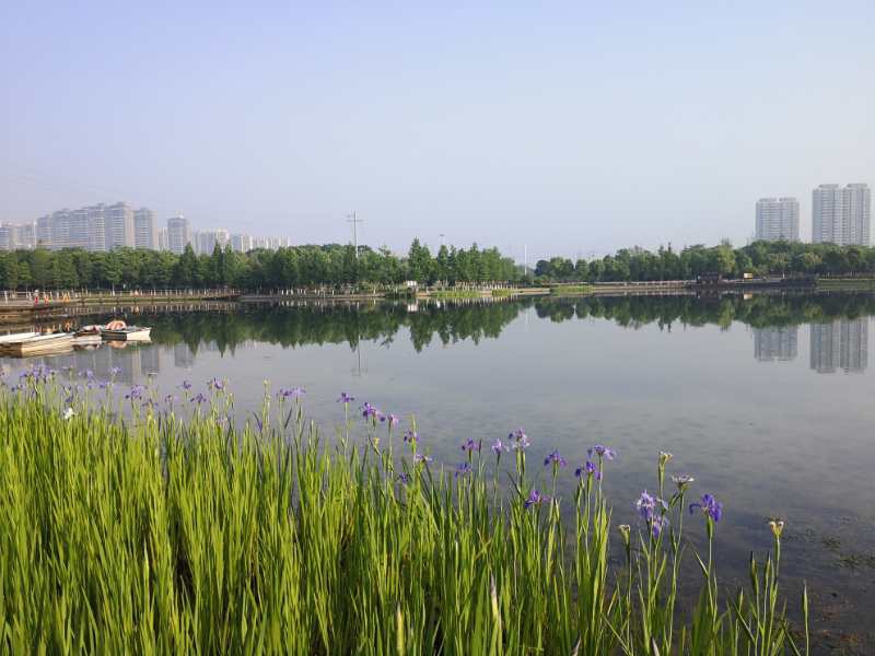 南京河西城市生态公园图片