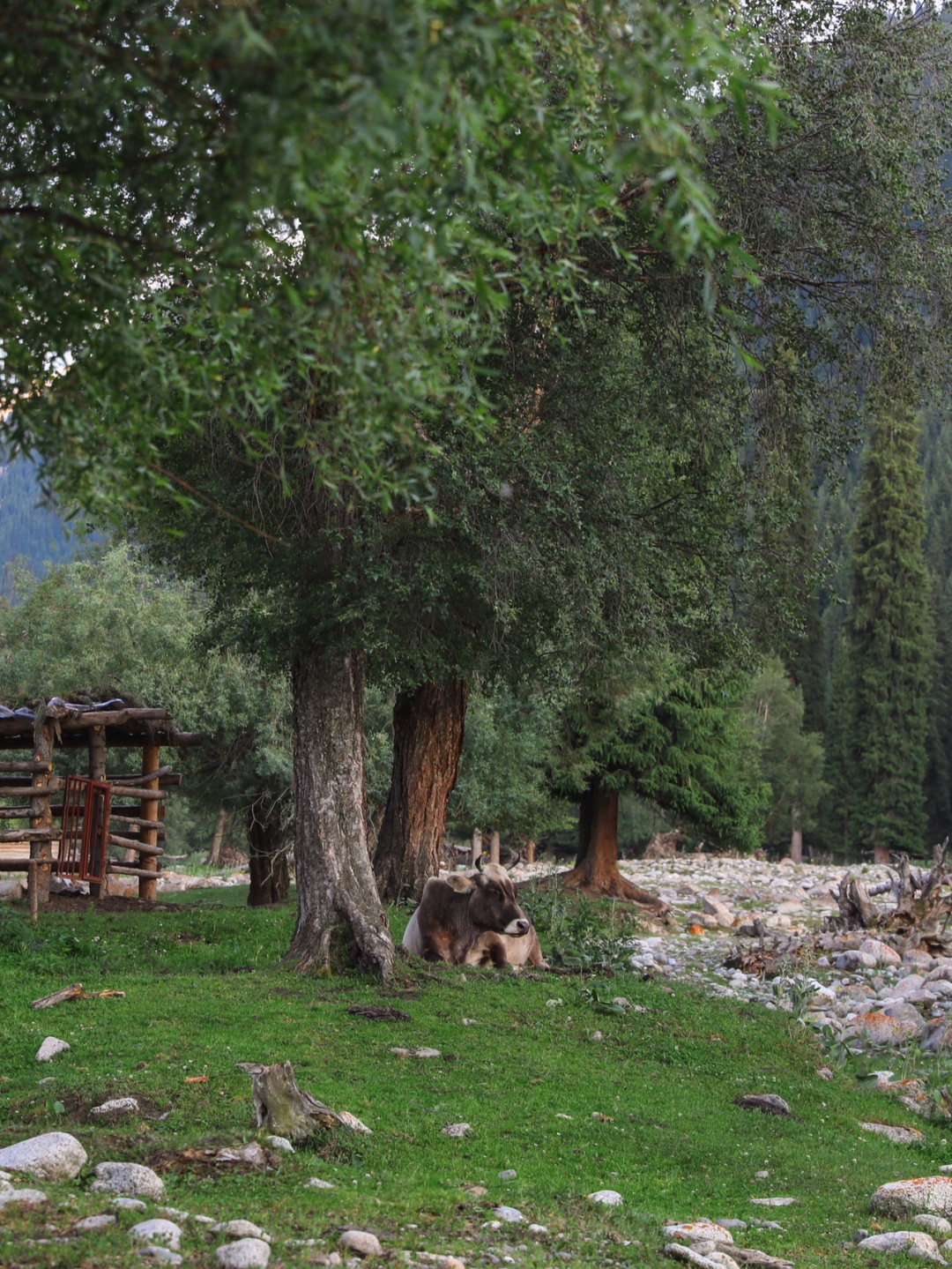新疆小众景点 | 琼库什台·原始的村落