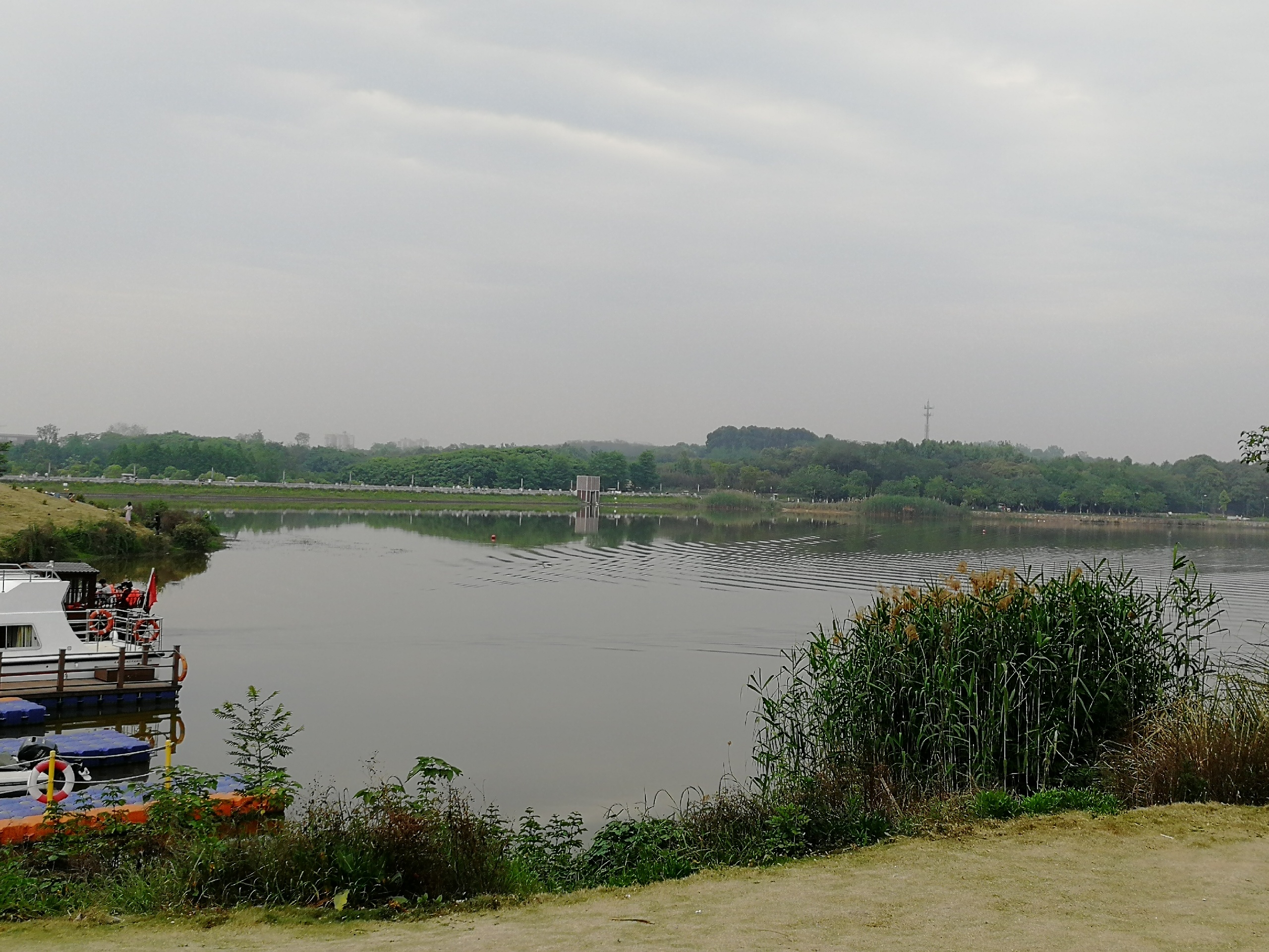 成都公园寻春周末好去处结婚照拍摄地_青龙湖湿地公园