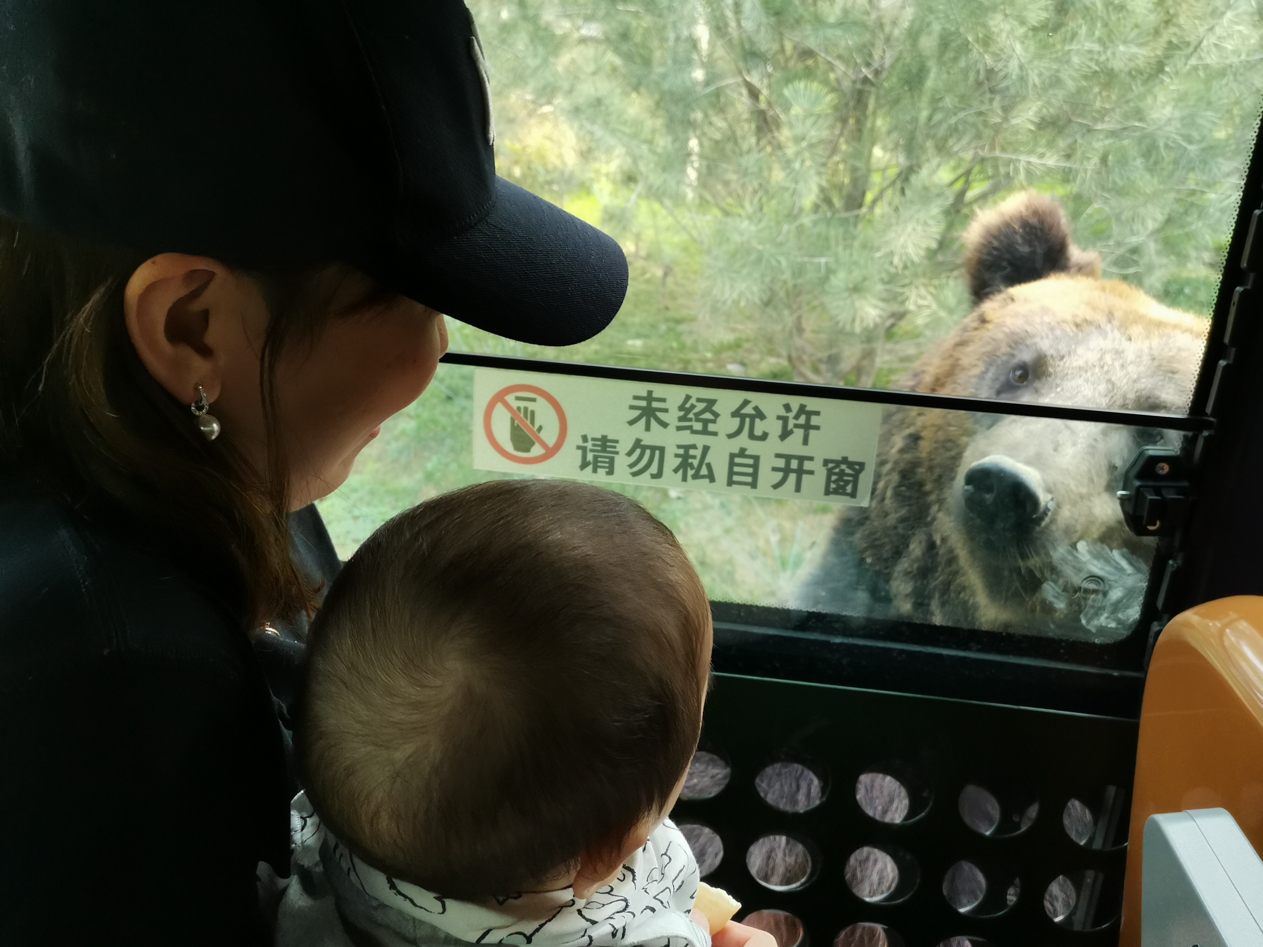 北京亲子周末推荐——北京野生动物园