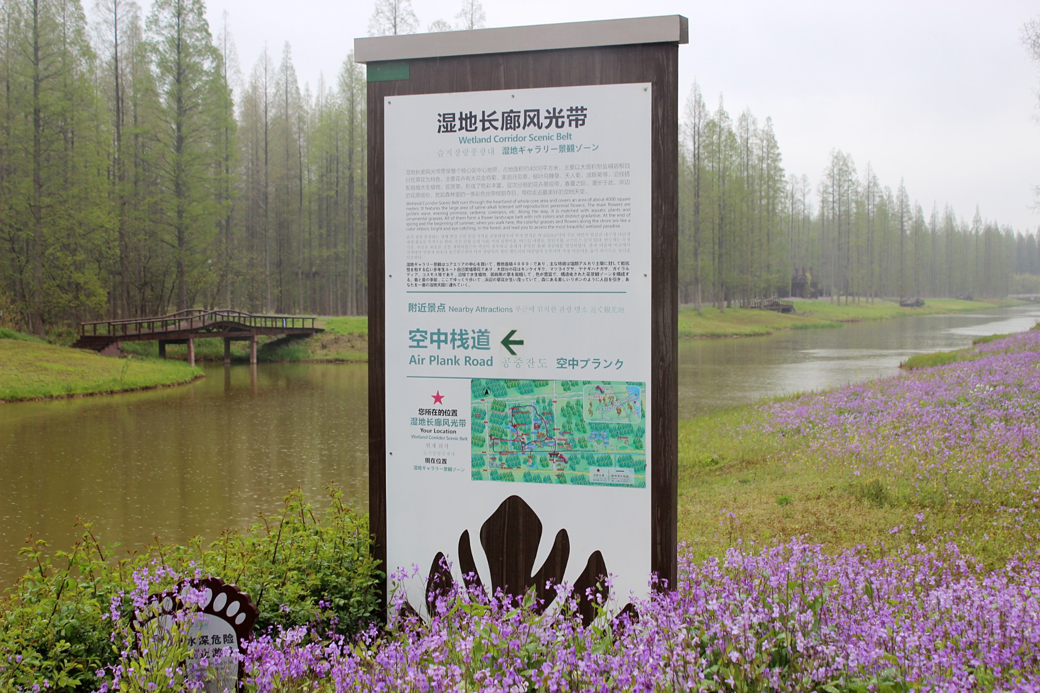 黄海国家森林公园＂湿地长廊＂_黄海森林公园