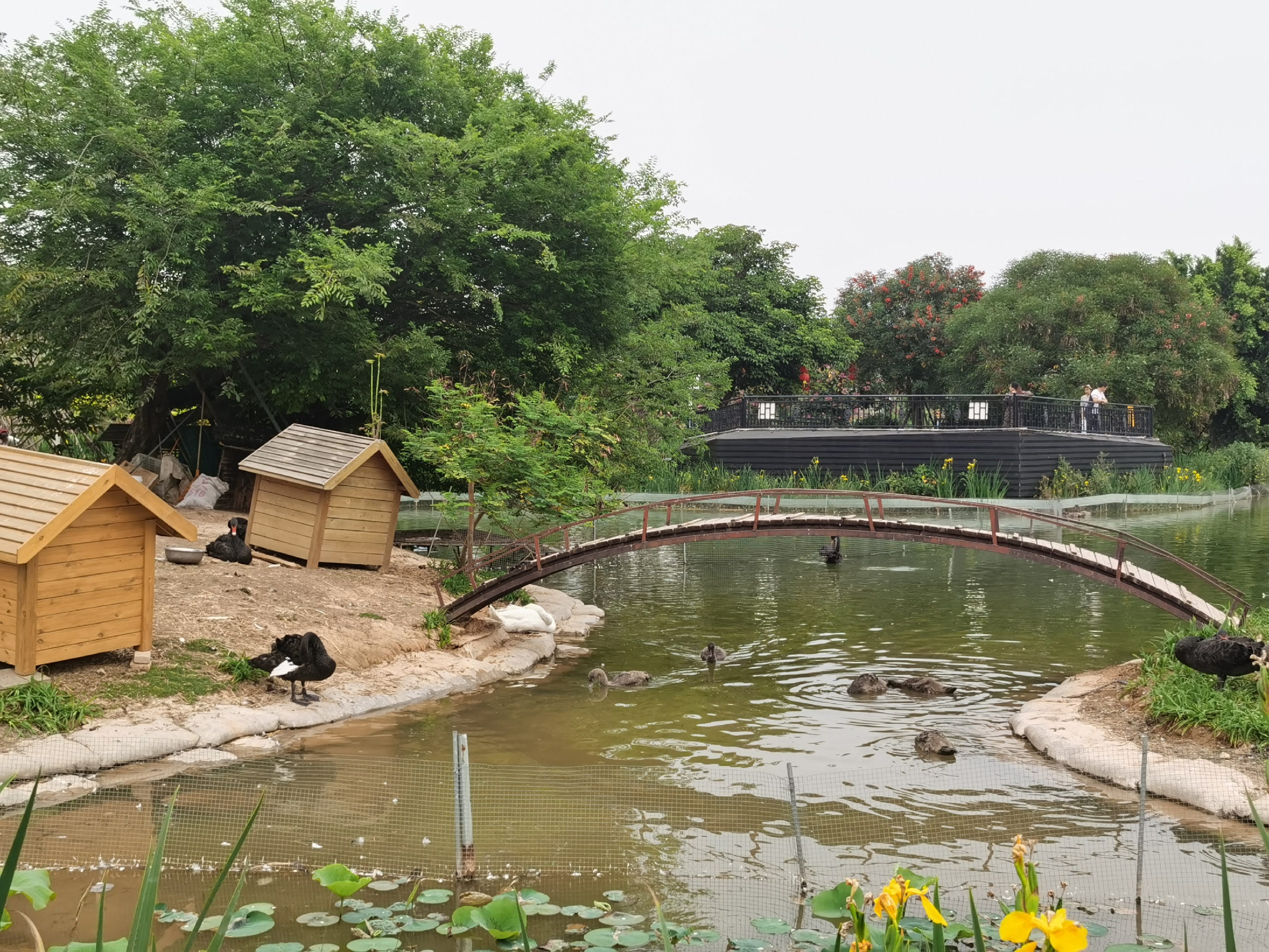 福建南山南湖生态公园，漳州的后花园