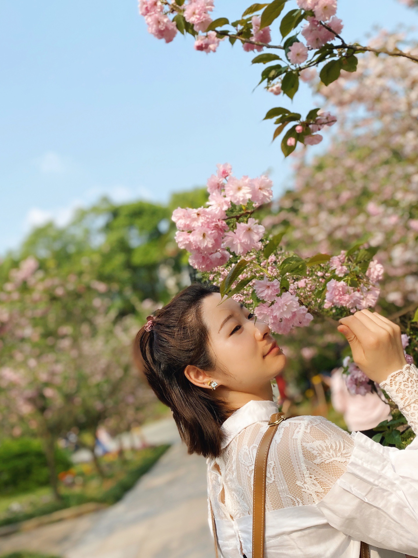 重庆三月正是赏花好时节_重庆南山植物园