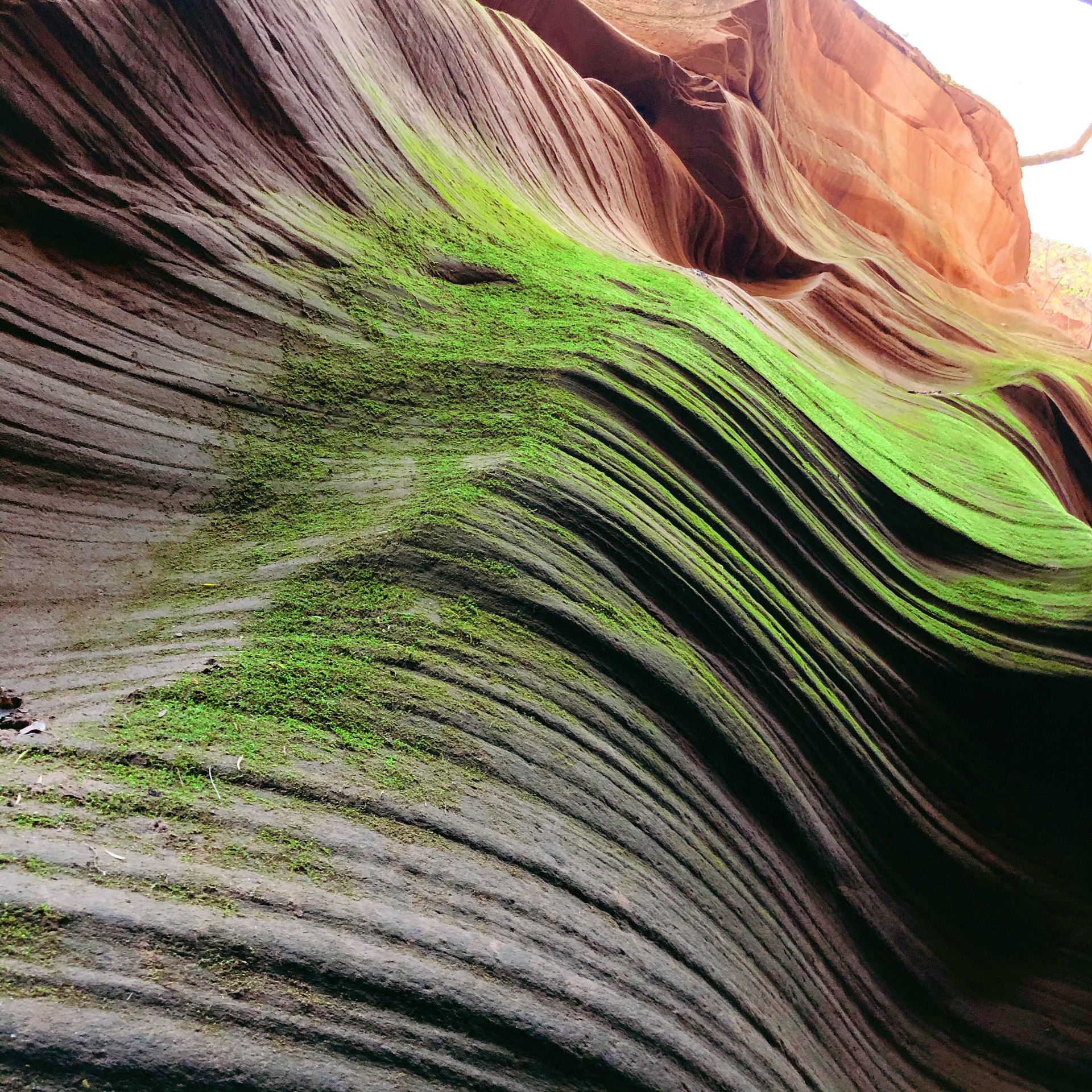随拍系列大自然的鬼斧神工描绘出千沟万壑-雨岔大峡谷